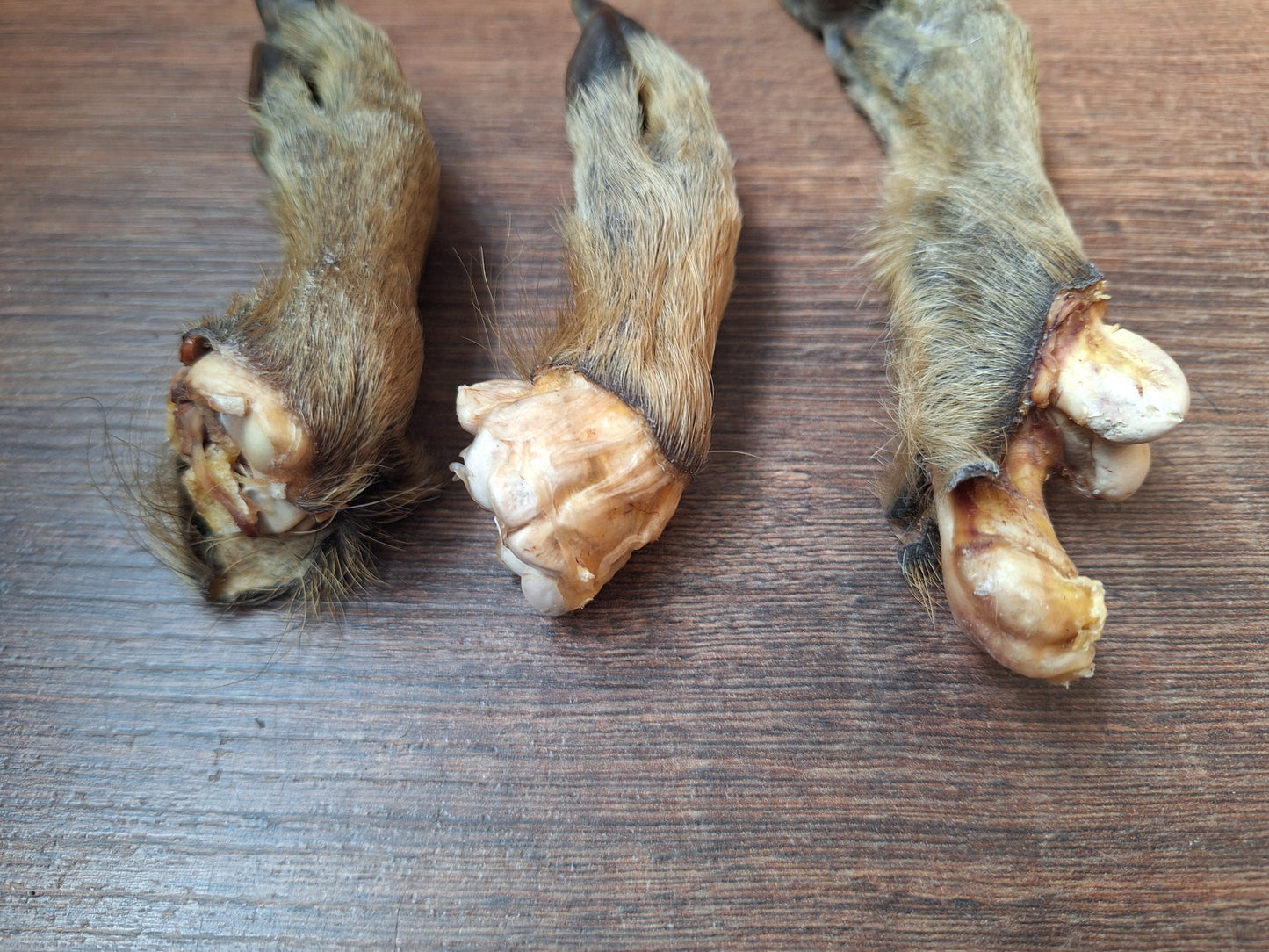 Wild boar lower legs