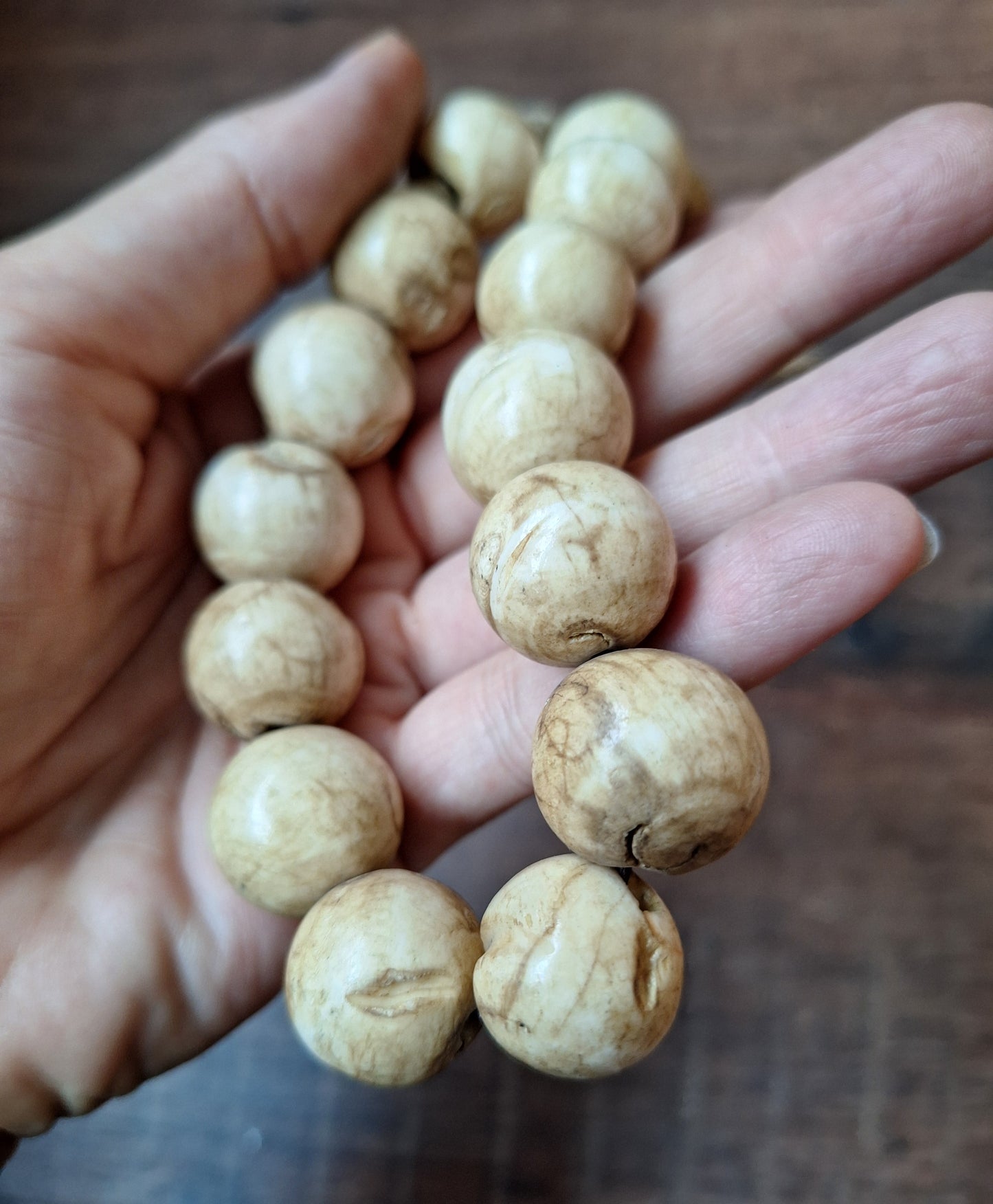 Old Nepalese conch shell necklace
