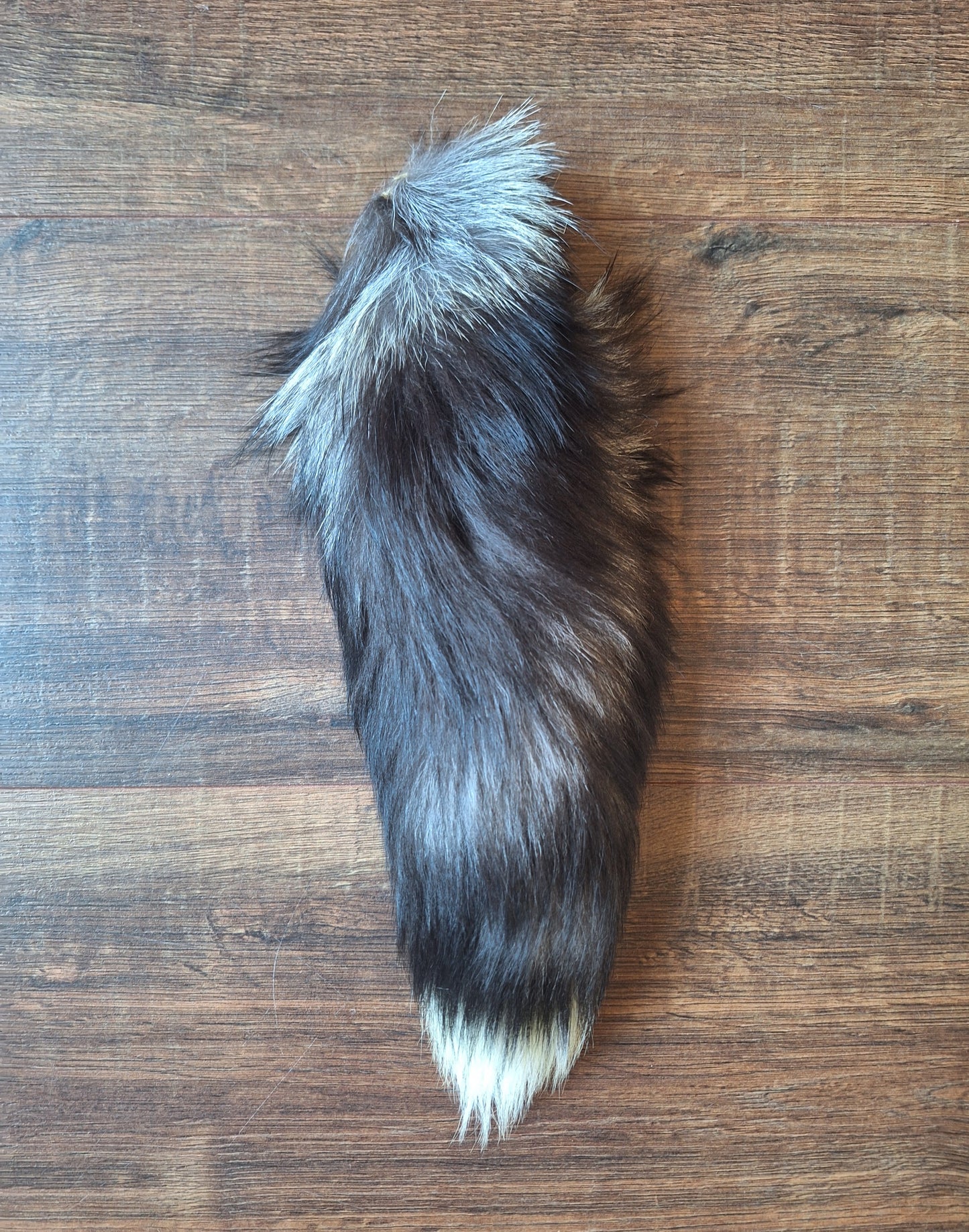 Silver fox tails