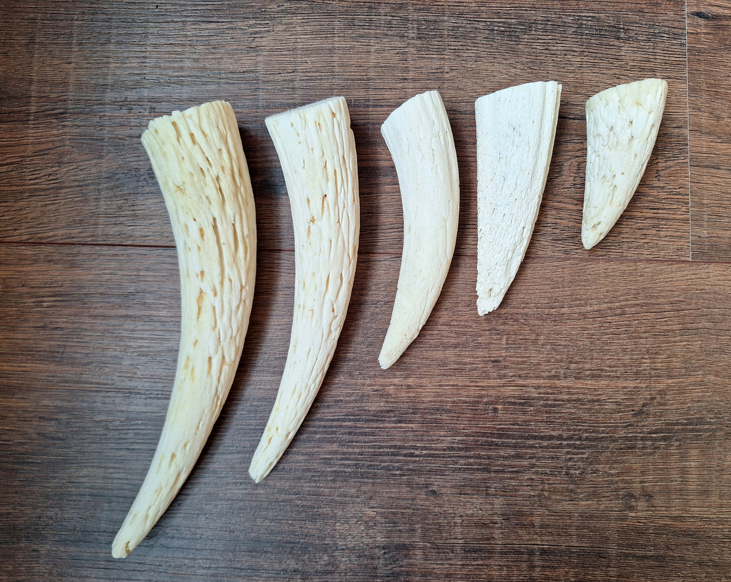 Cow horn pit, set of 5