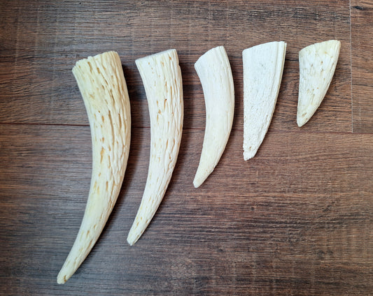 Cow horn pit, set of 5