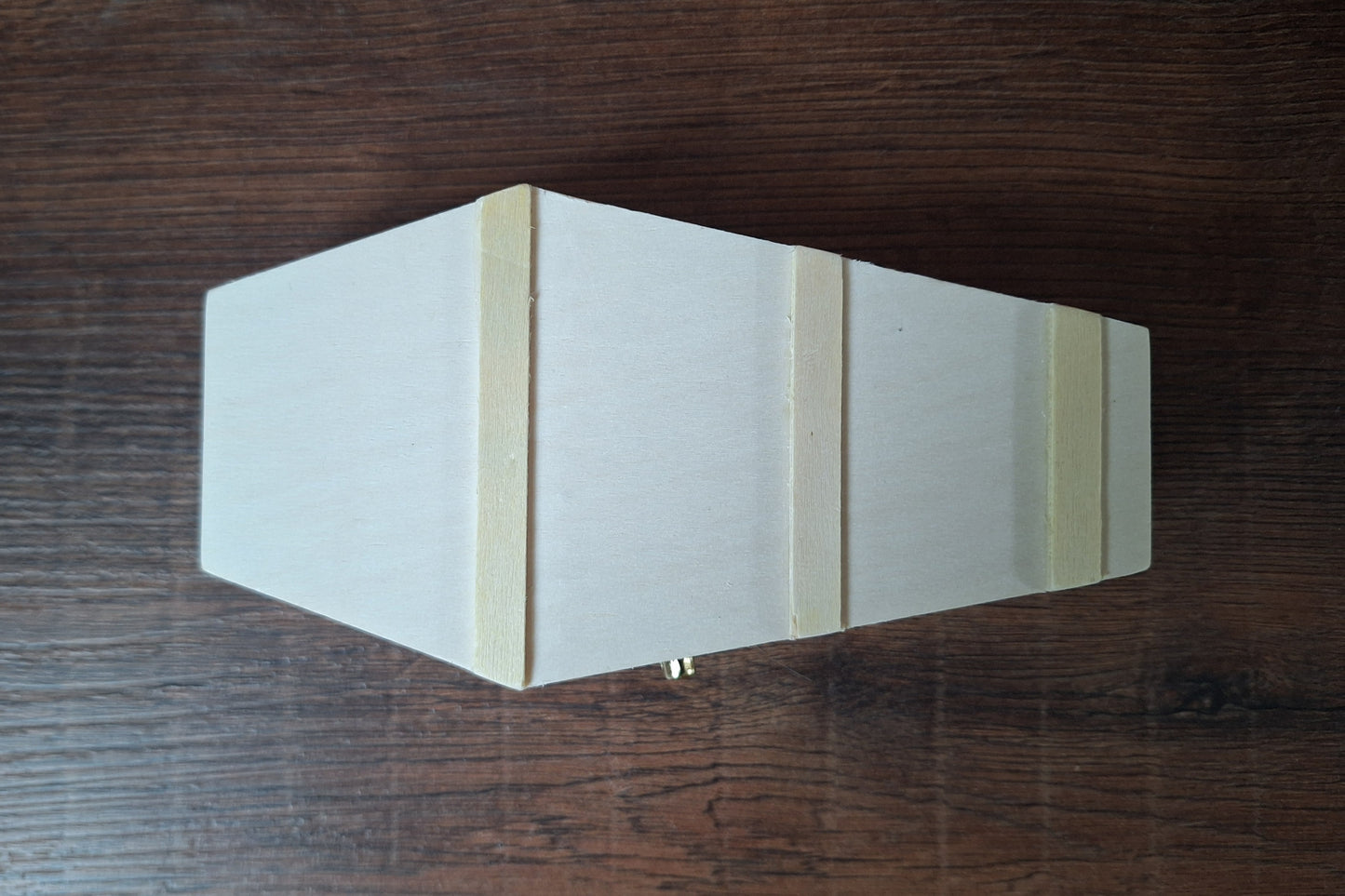 Crow skull and claws set in coffin