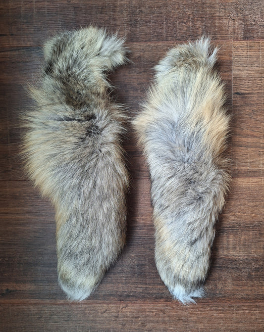 Painted silverfox tails