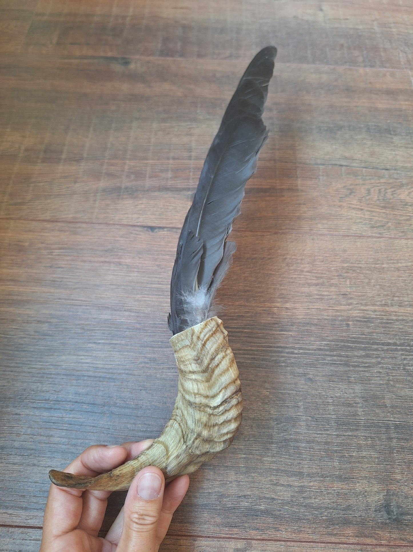 Horn feather fan Crow