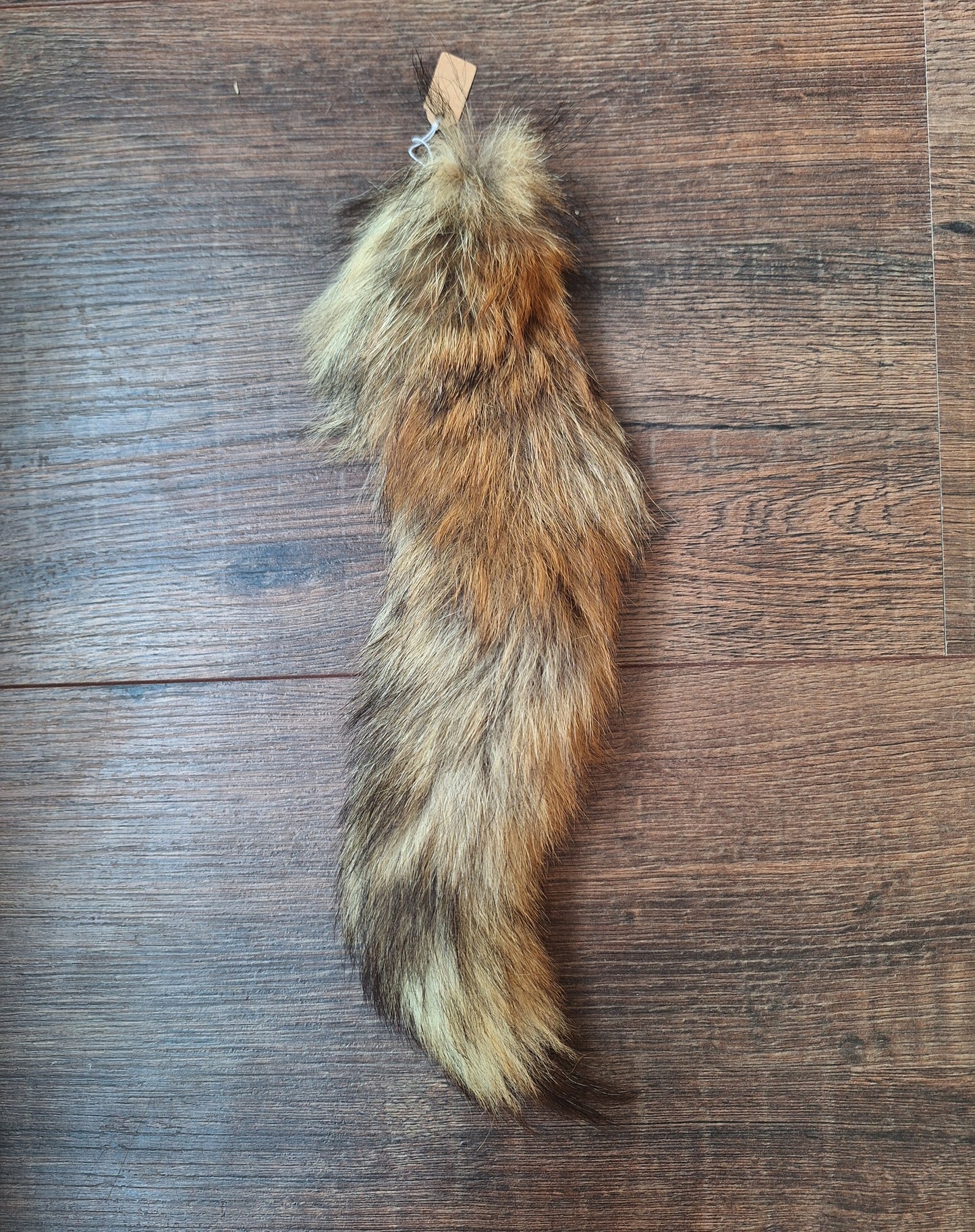 Red fox tails