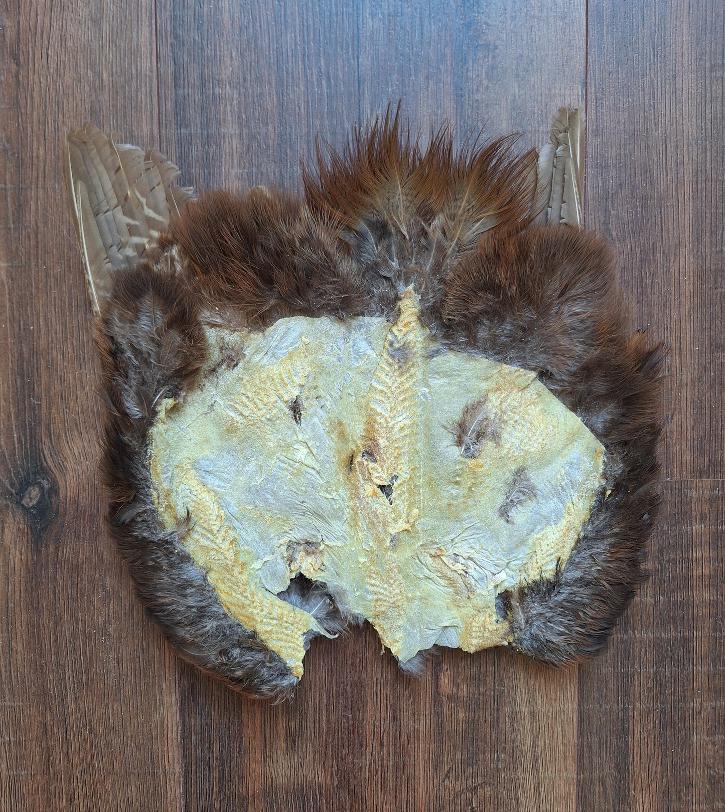 Pheasant skin