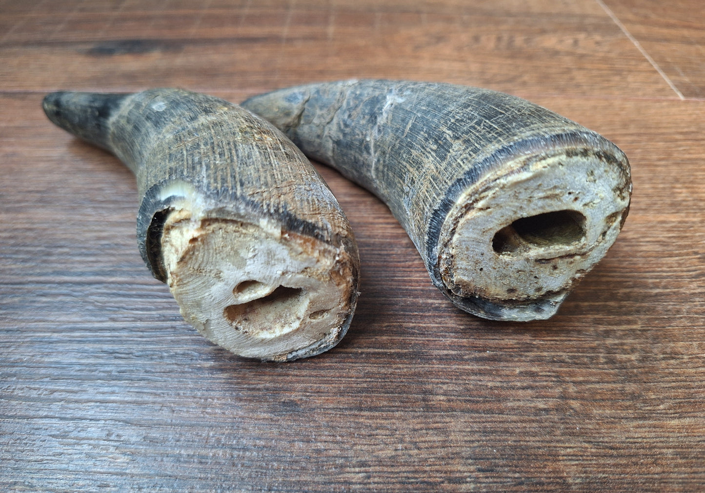 Cow horn set