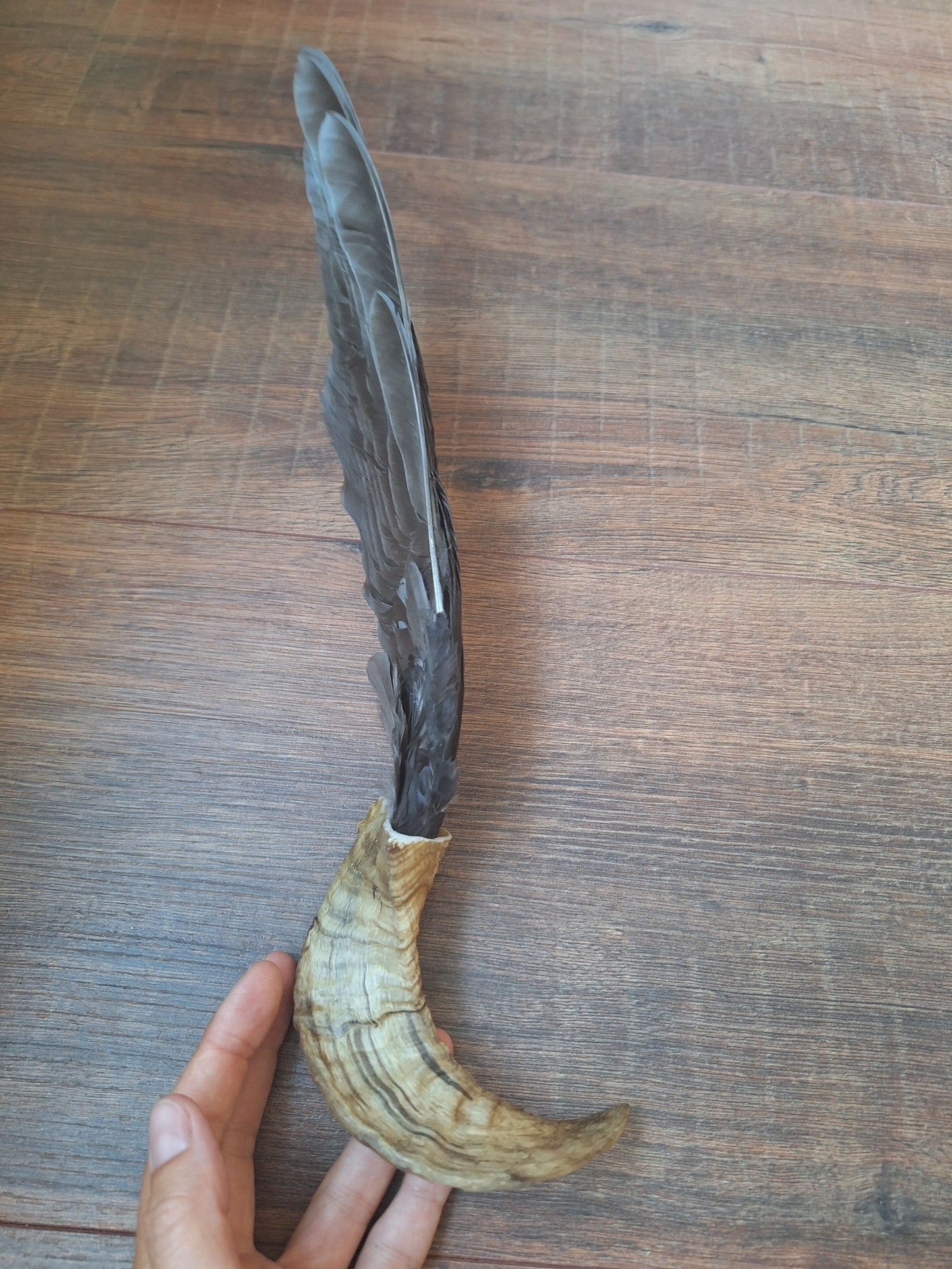 Horn feather fan Crow