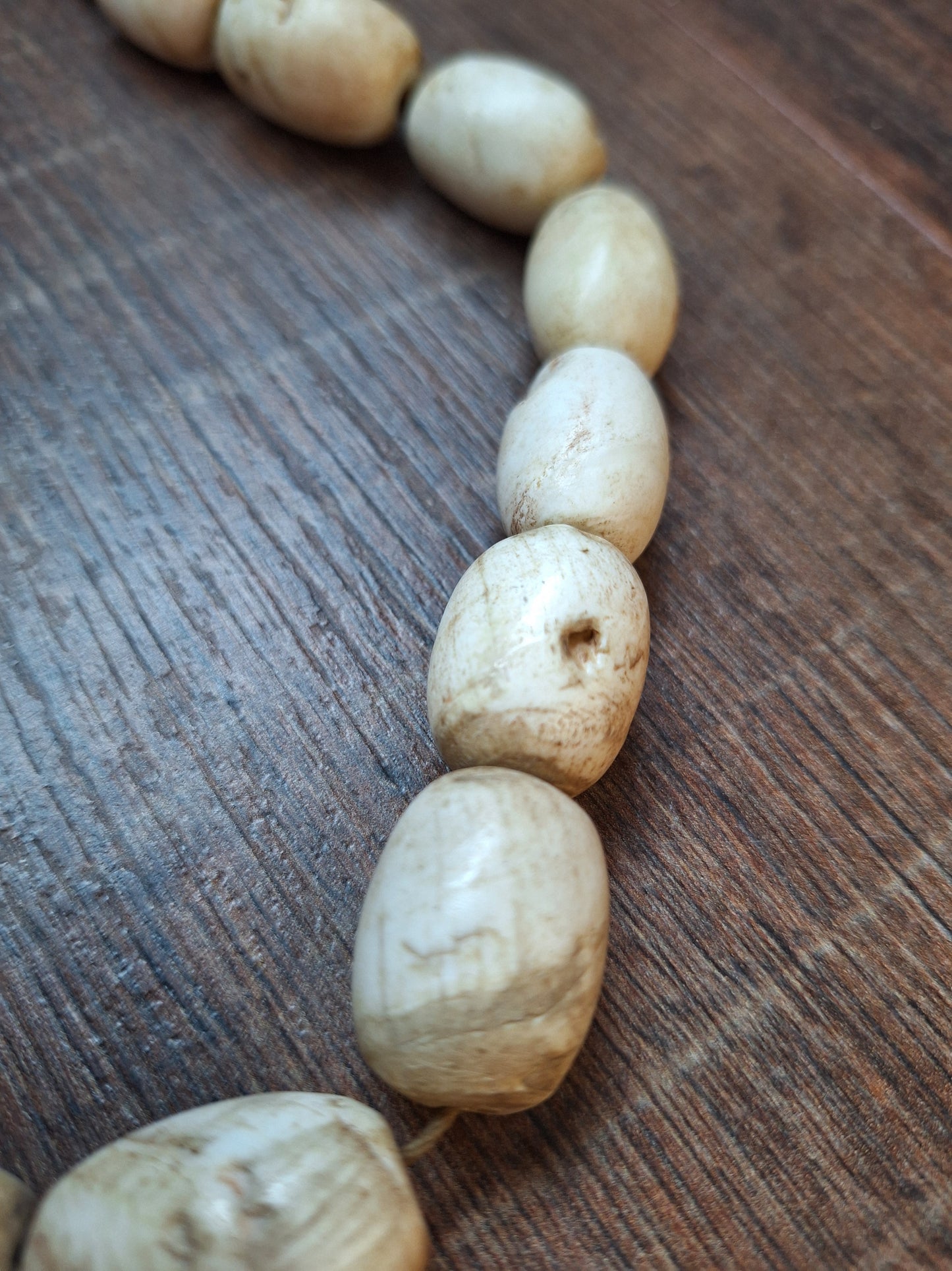 Old Nepalese conch shell necklace
