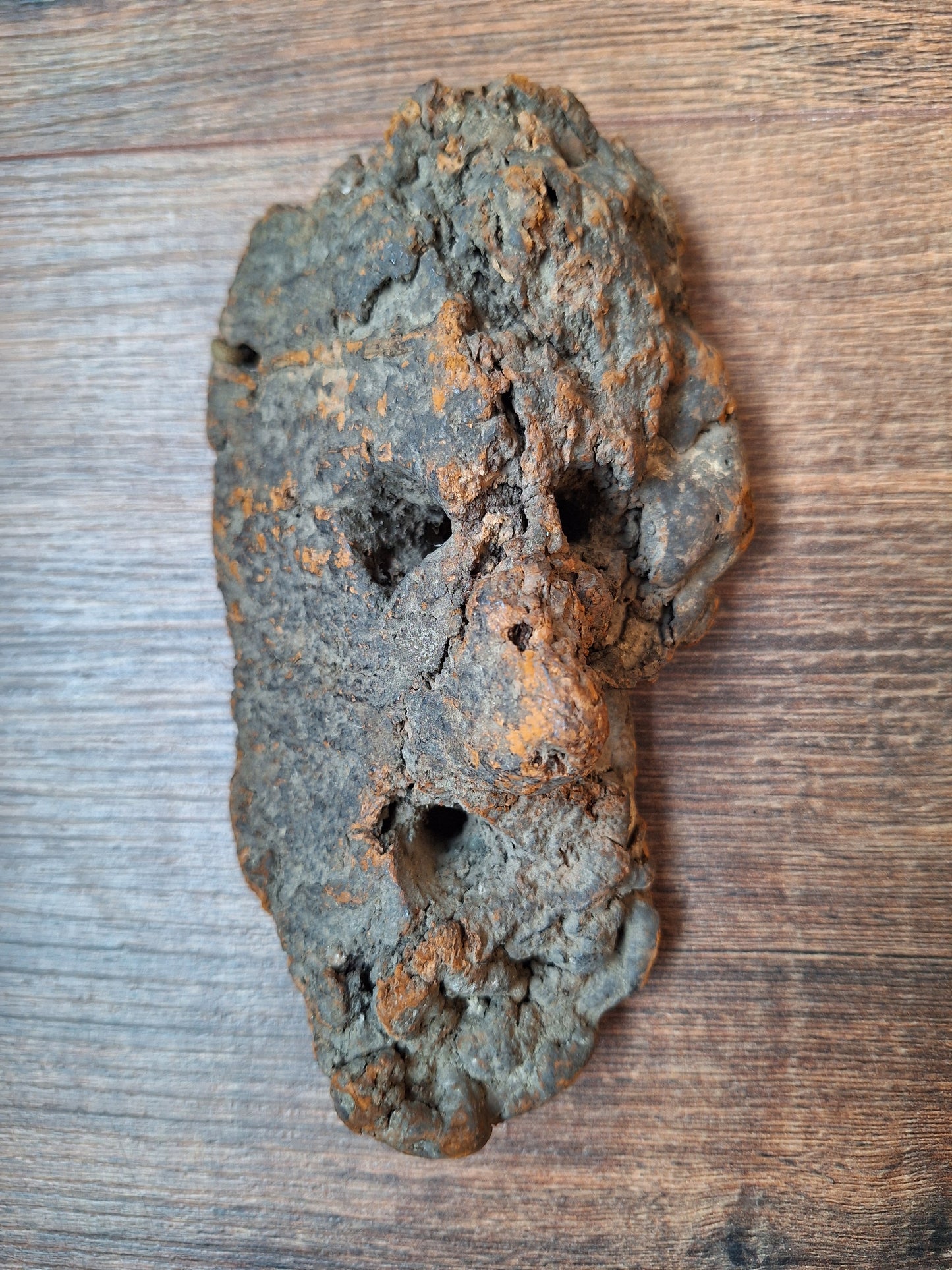 Antique Nepalese mushroom mask #9