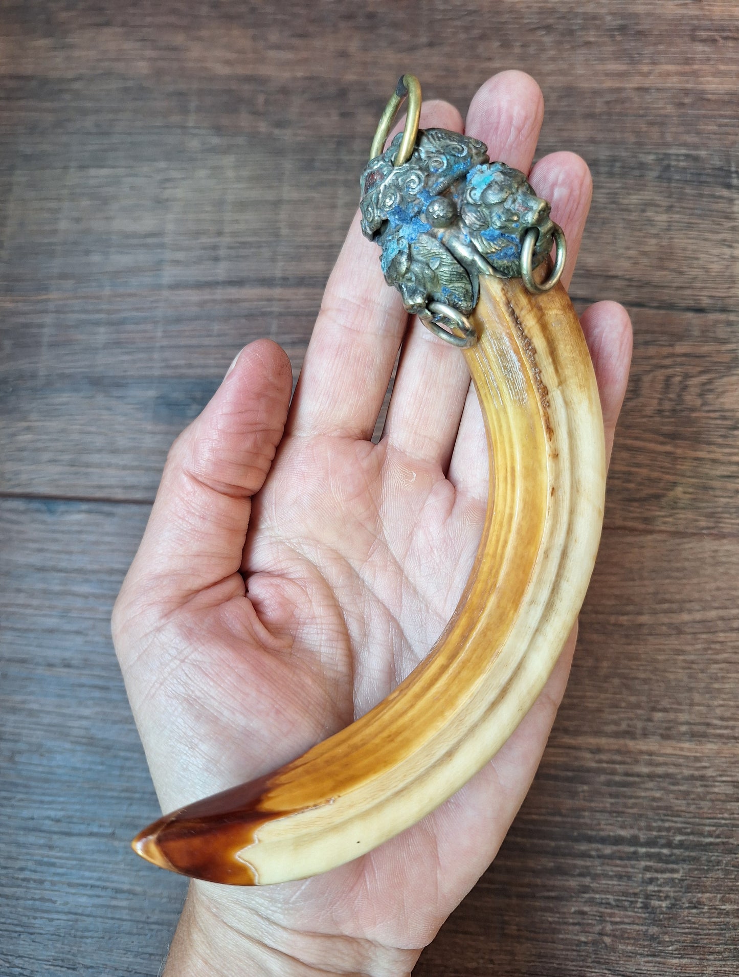 Vintage Nepalese wild boar tusk pendant