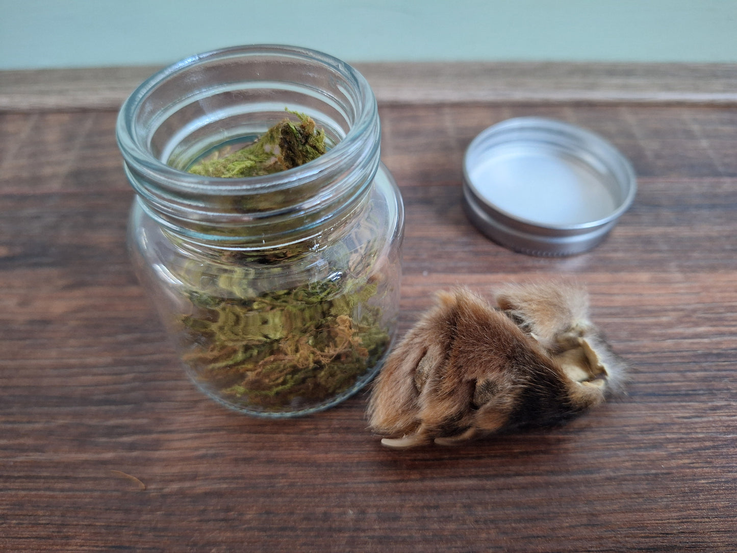 Fox paw, B-quality, in glass jar