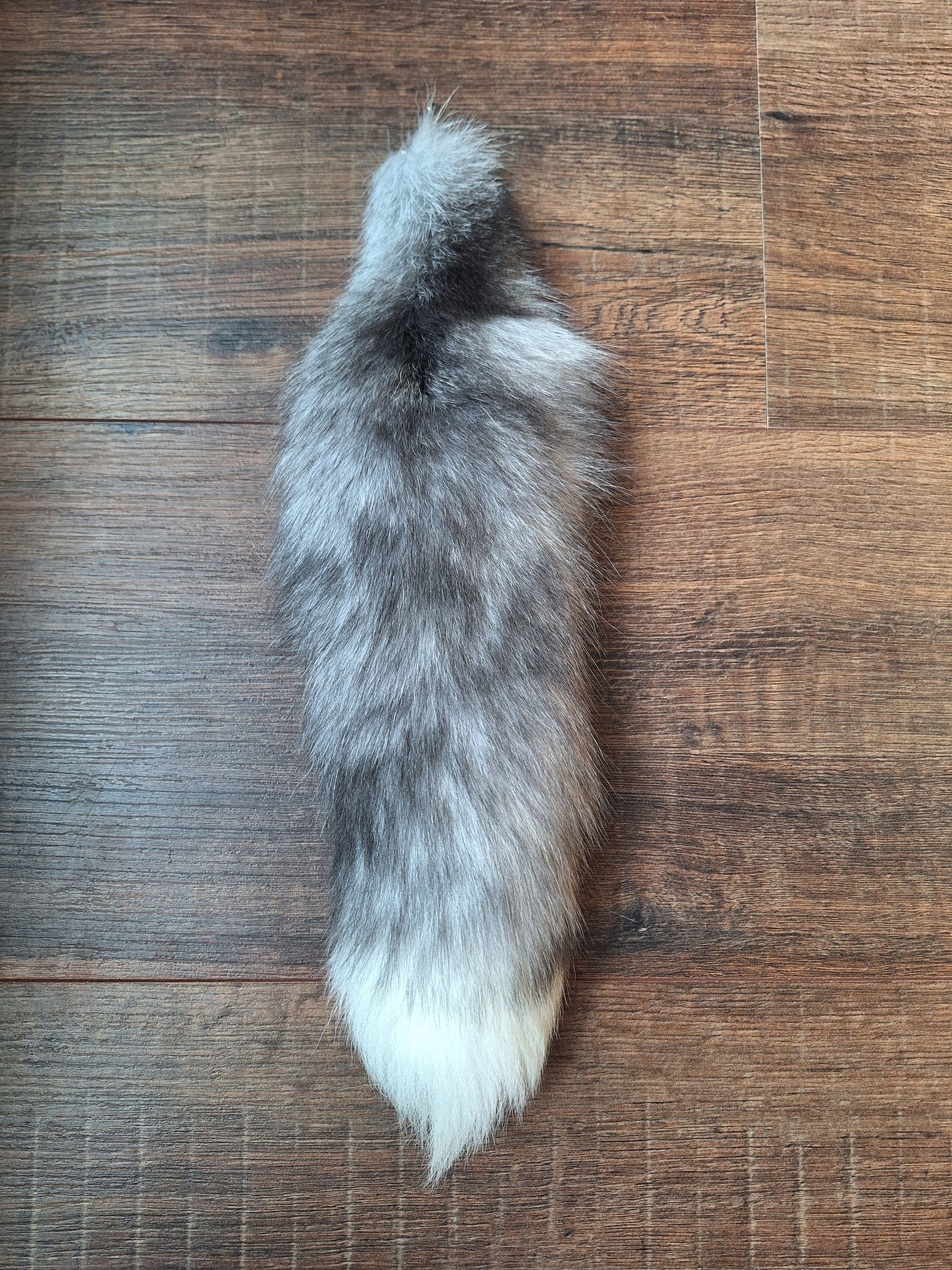 Painted silverfox tails