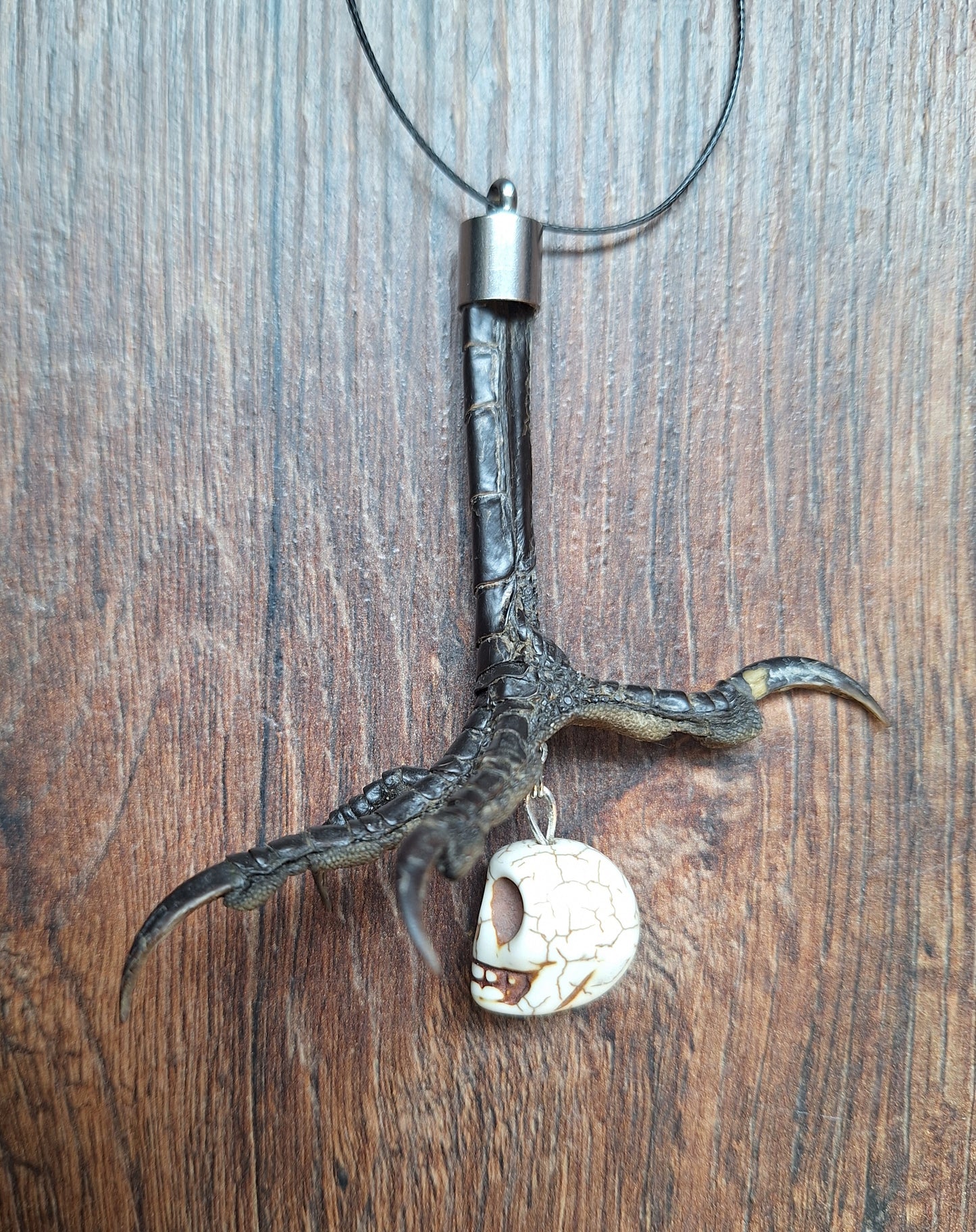 Crow claw and howlite skull amulet necklace