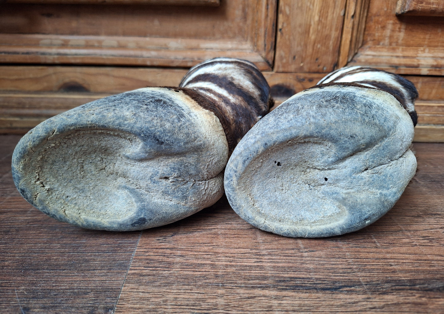 Vintage zebra feet, set of 2