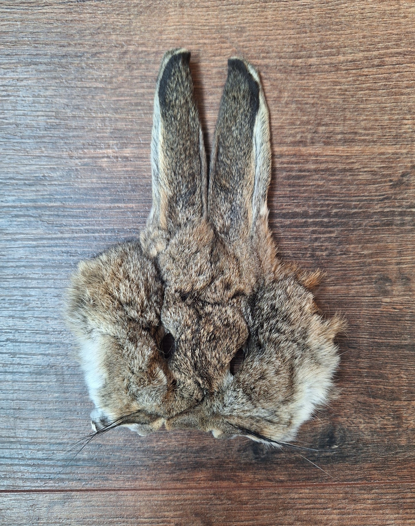 Hare head skins