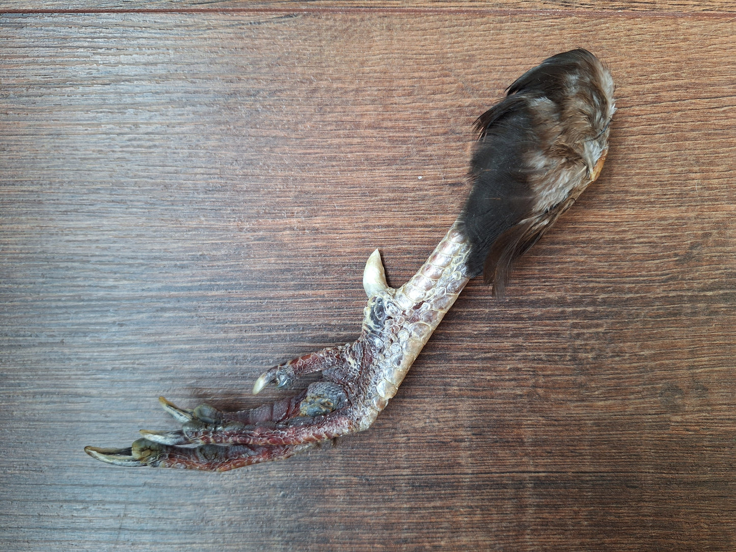 Chicken lower leg