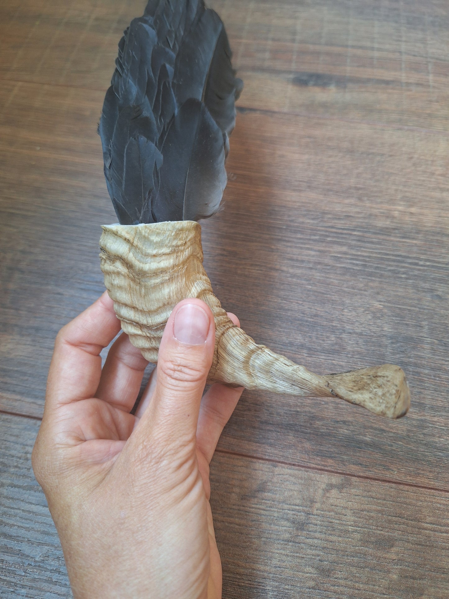 Horn feather fan Crow