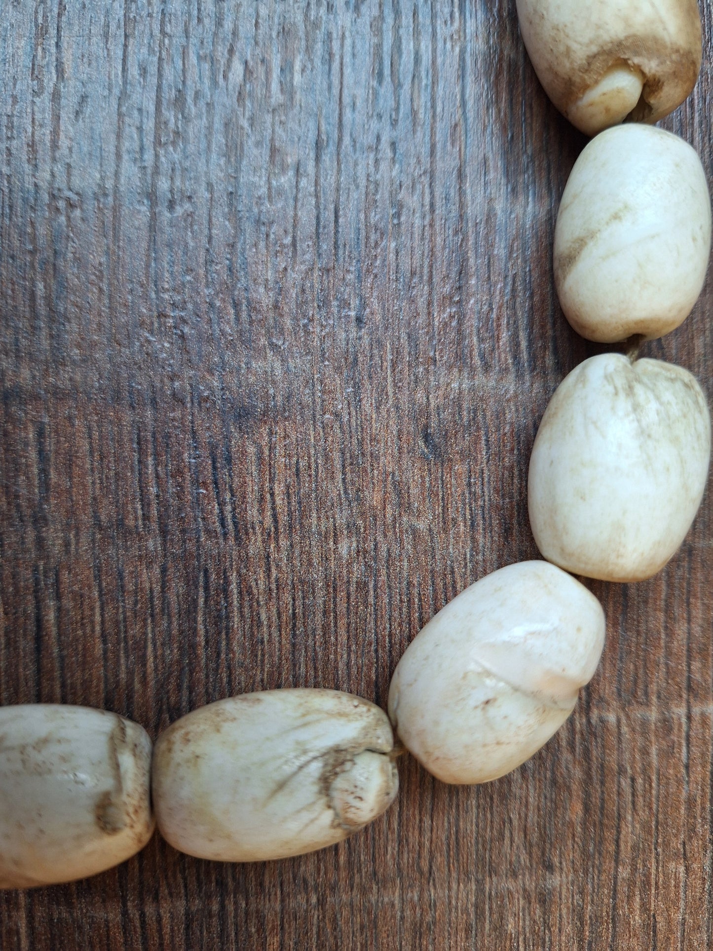 Old Nepalese conch shell necklace