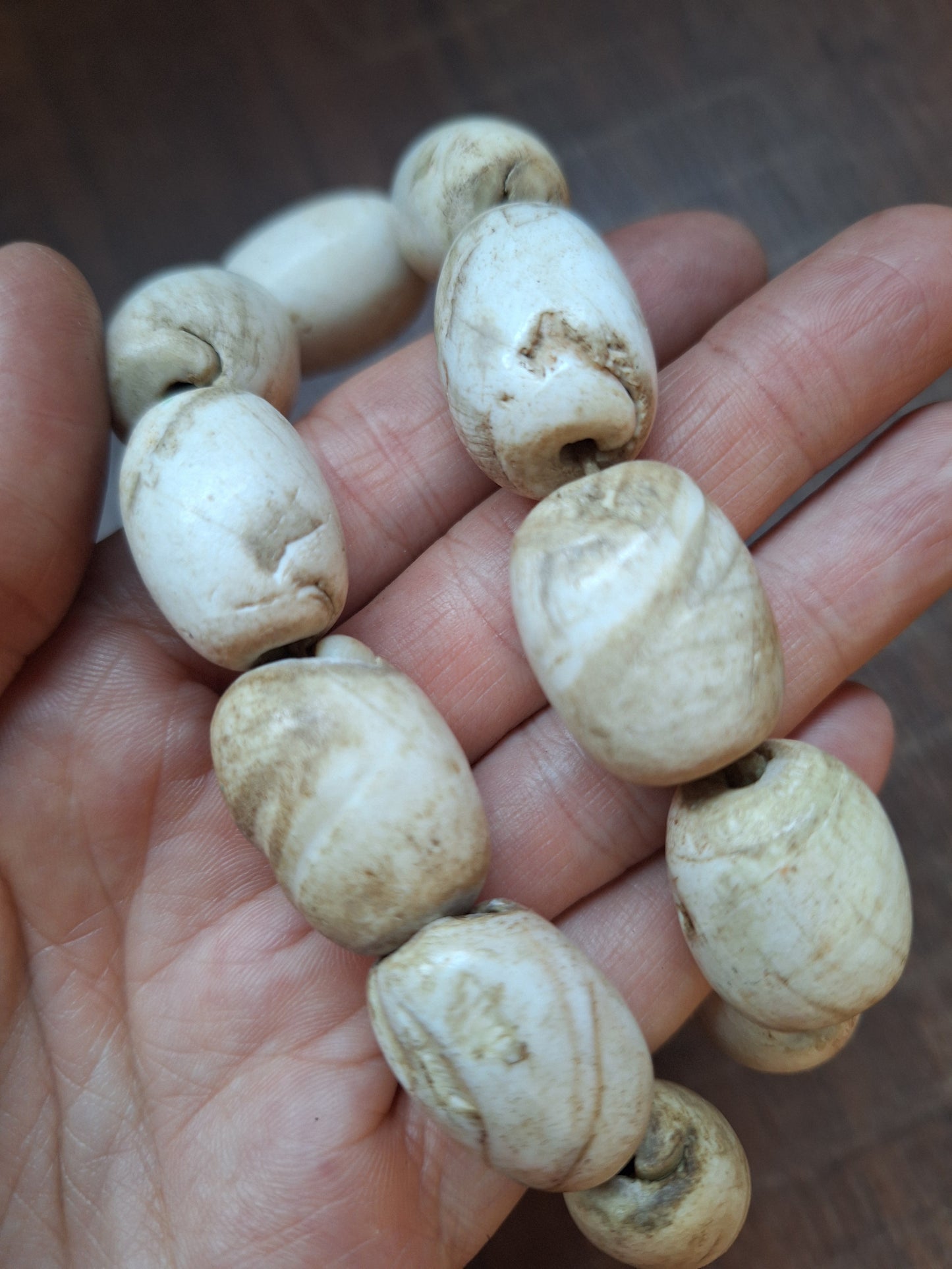 Old Nepalese conch shell necklace