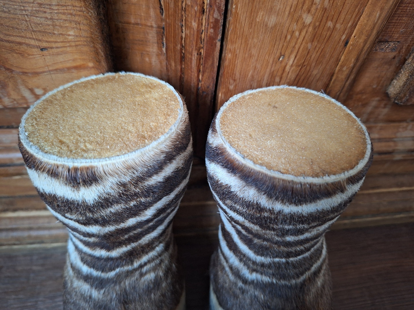 Vintage zebra feet, set of 2