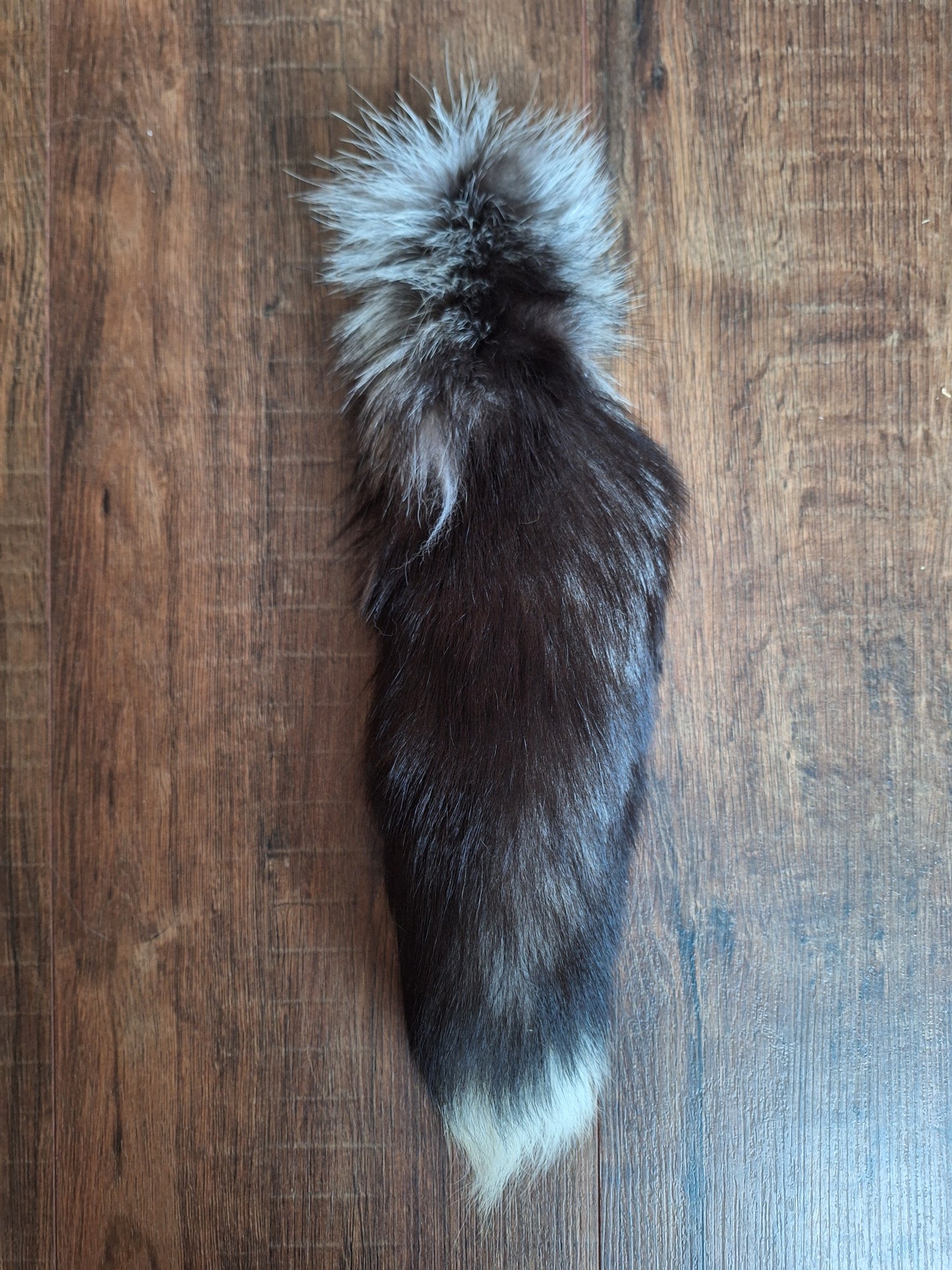 Silverfox tails