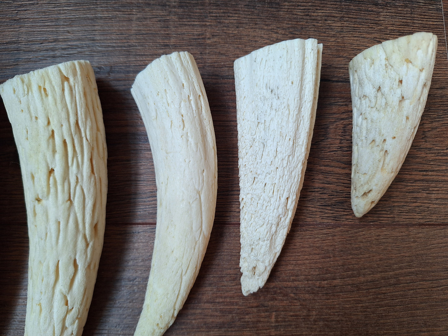 Cow horn pit, set of 5