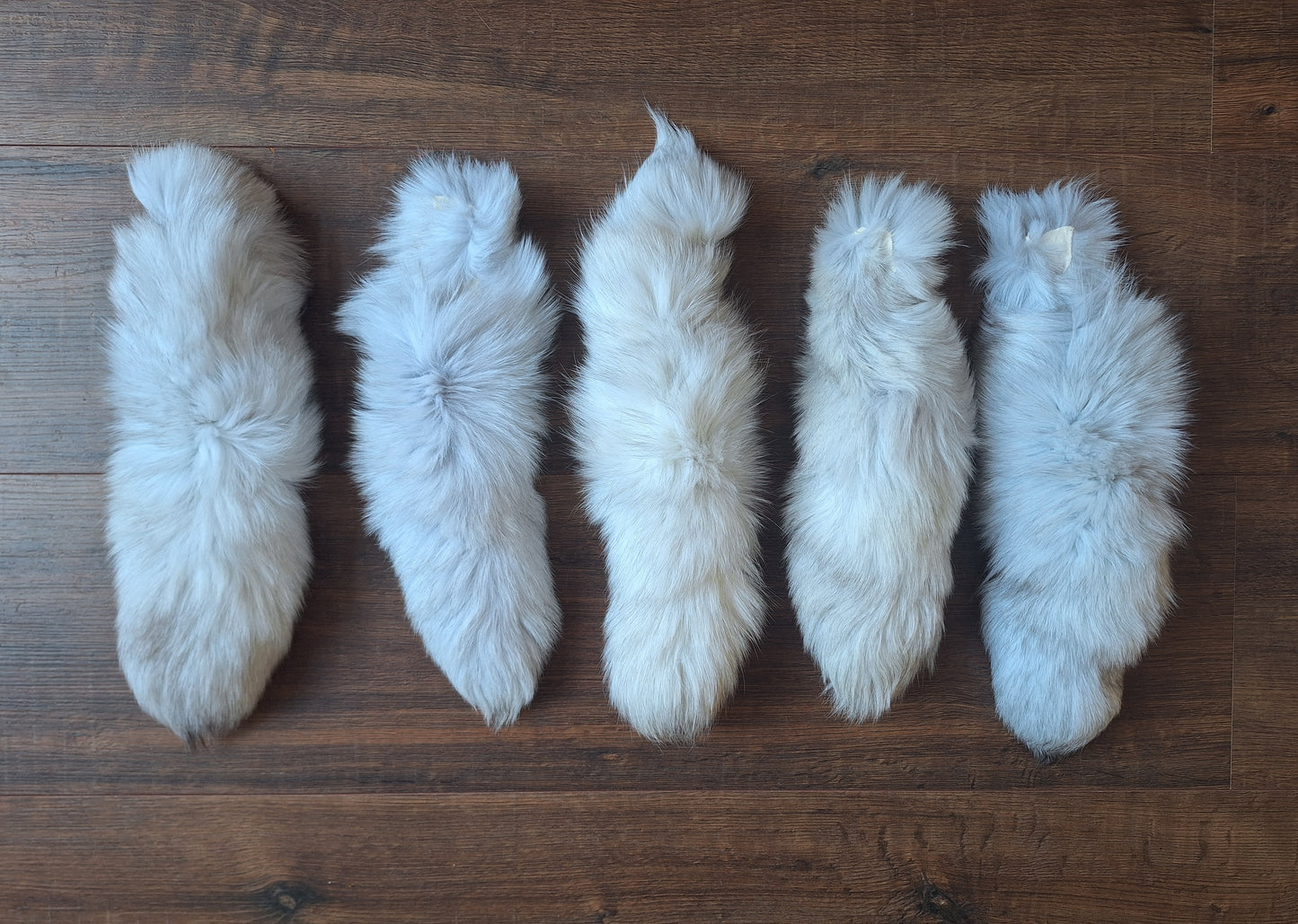 Polar fox tails