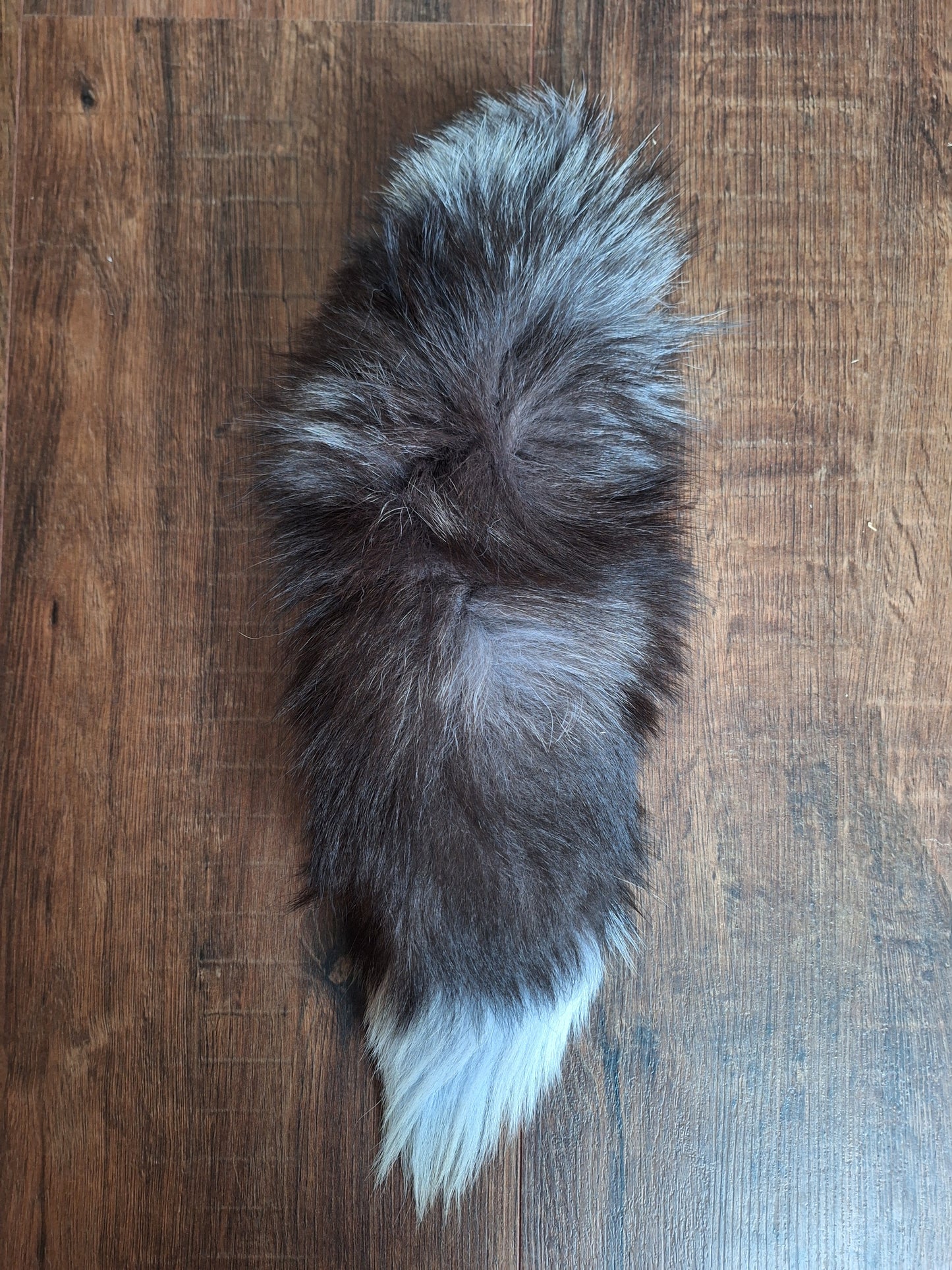 Silverfox tails