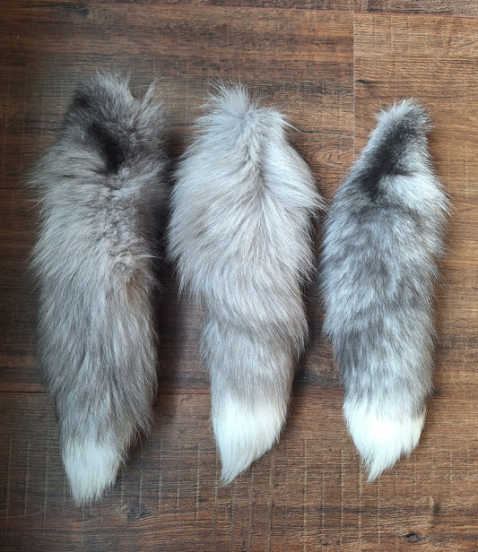 Painted silverfox tails