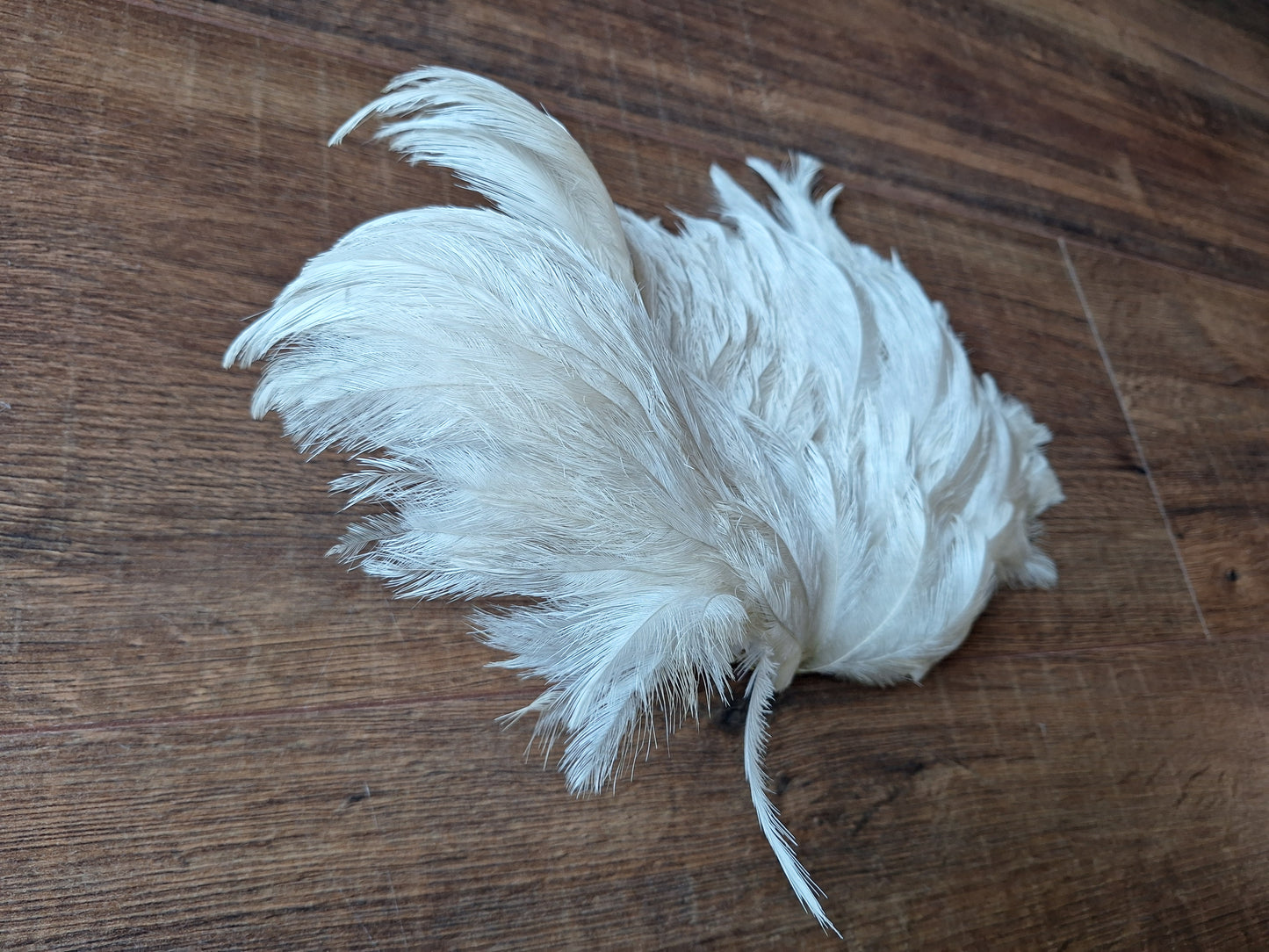 Nandu wing piece, small