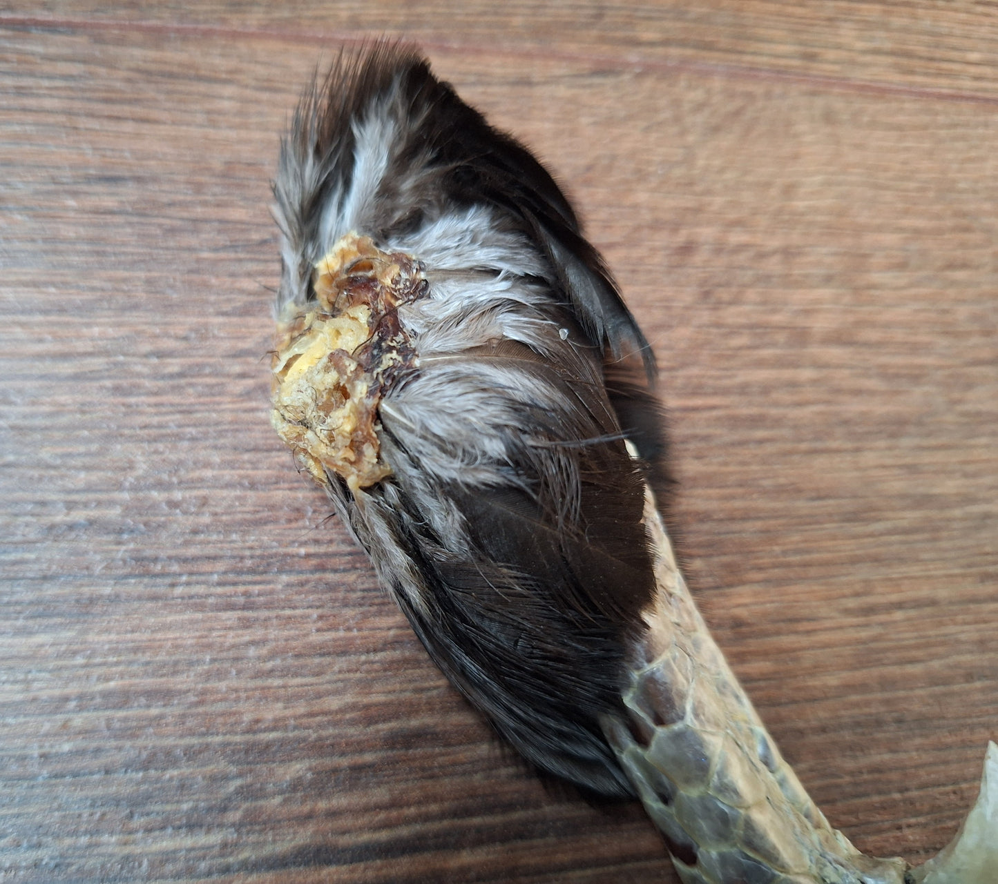 Chicken lower leg