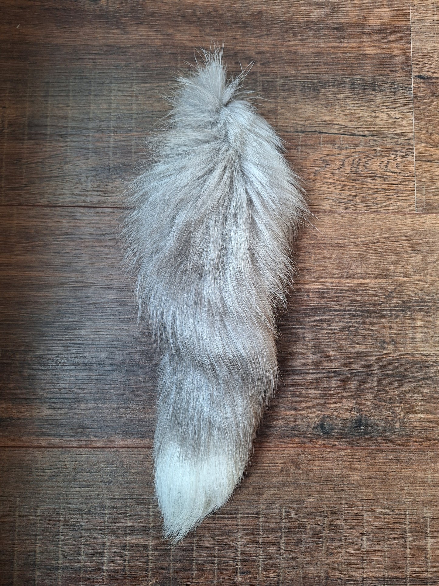 Painted silverfox tails