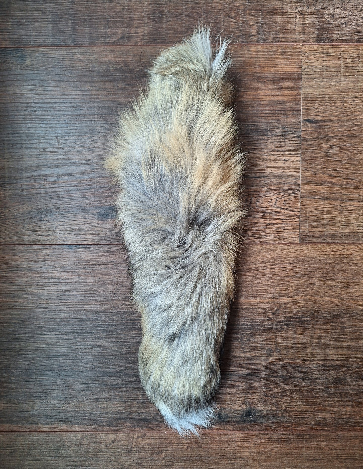 Painted silverfox tails