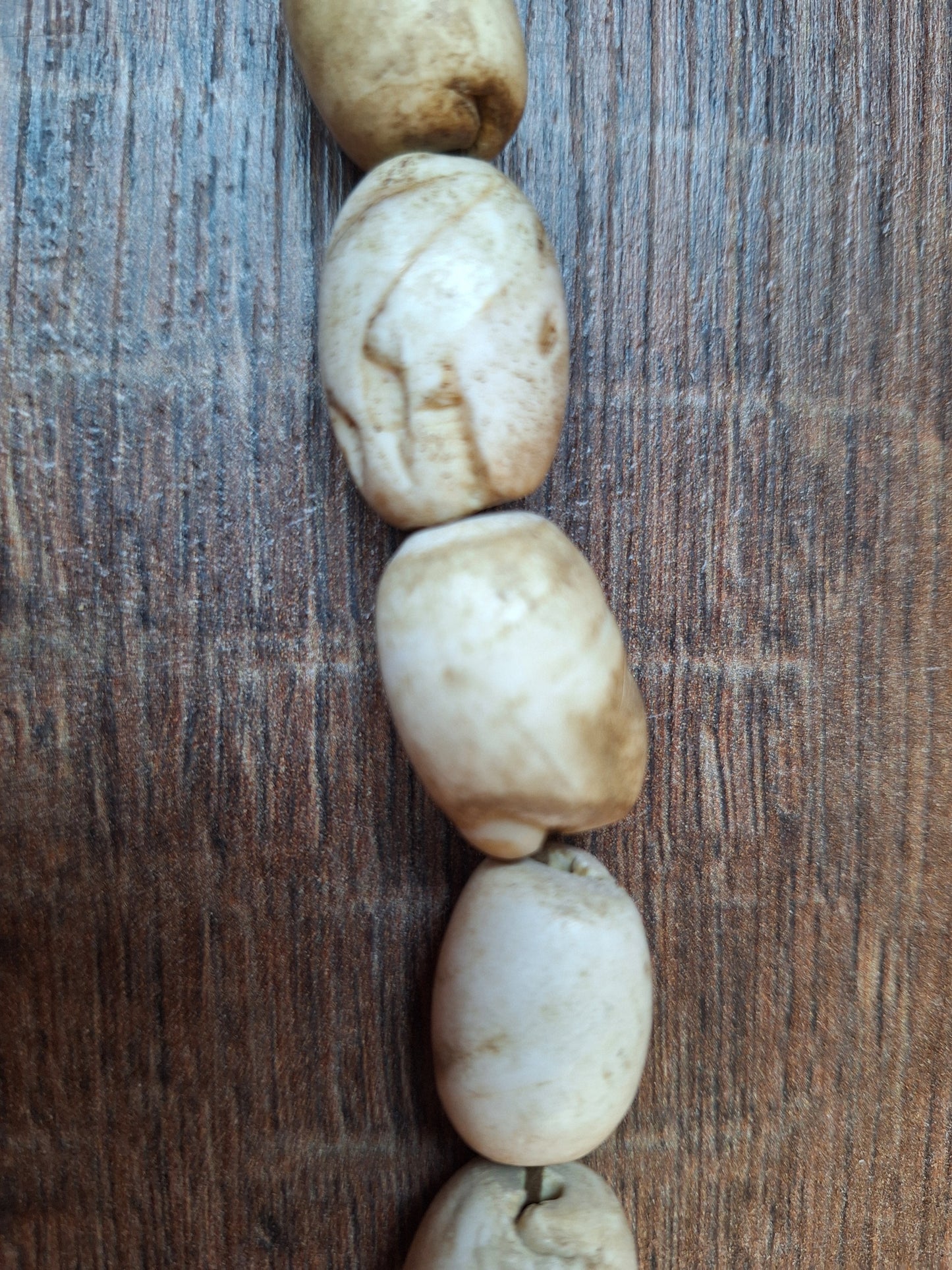 Old Nepalese conch shell necklace