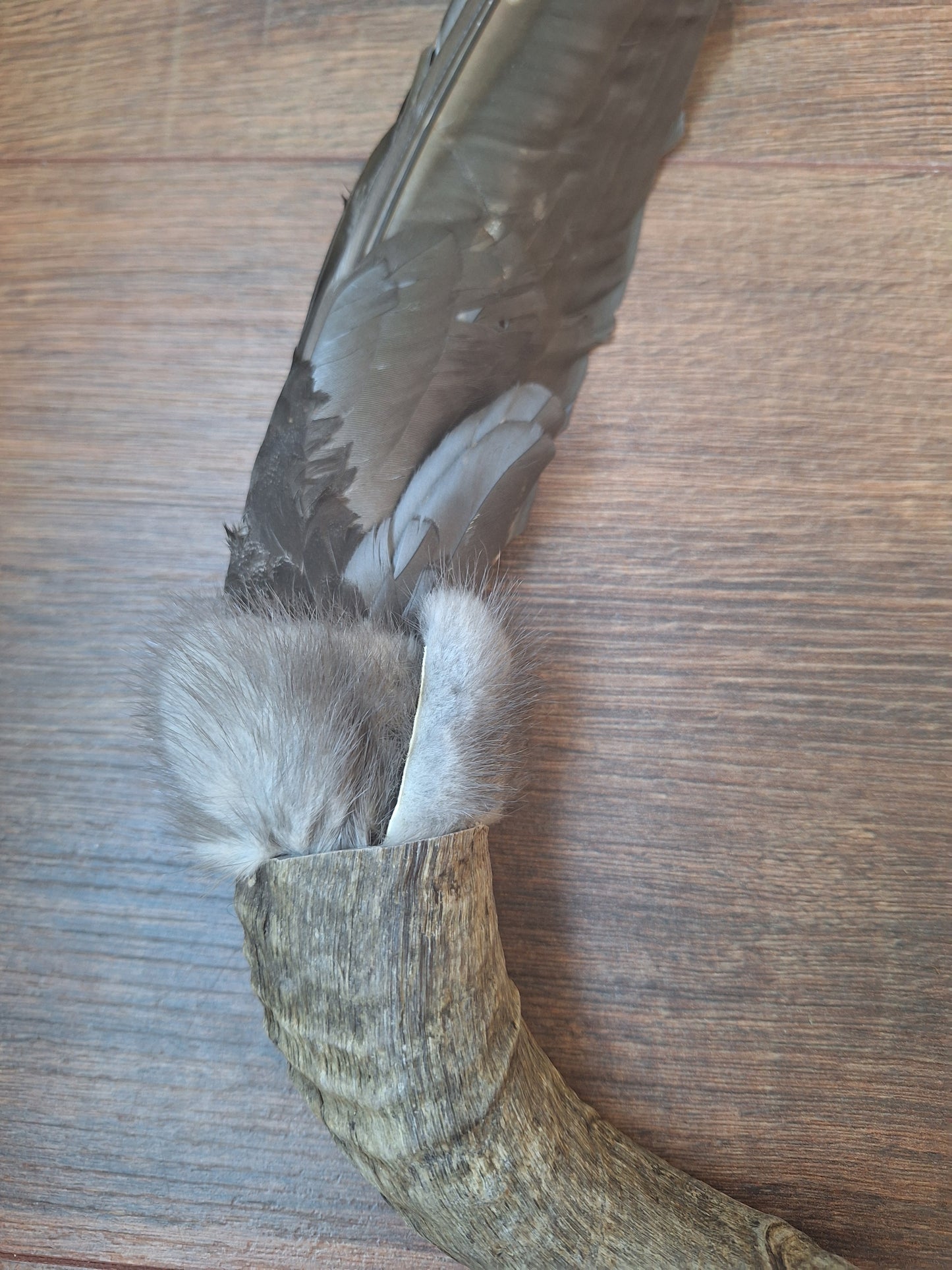 Horn feather fan Crow
