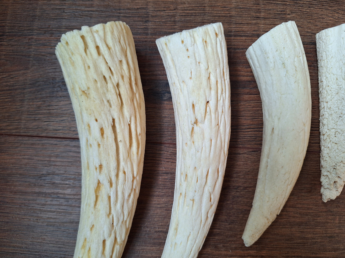 Cow horn pit, set of 5