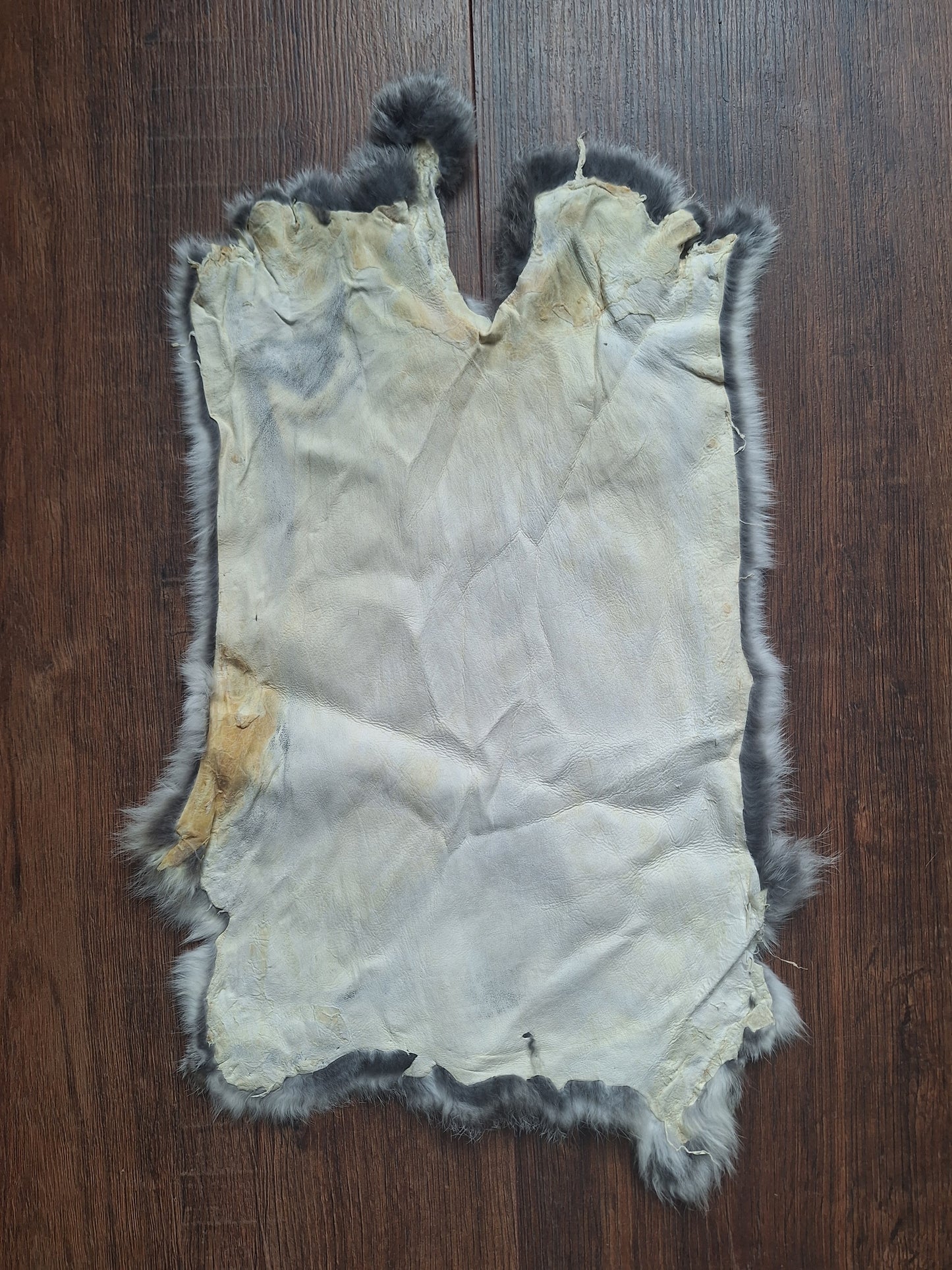 Rabbit hide #20