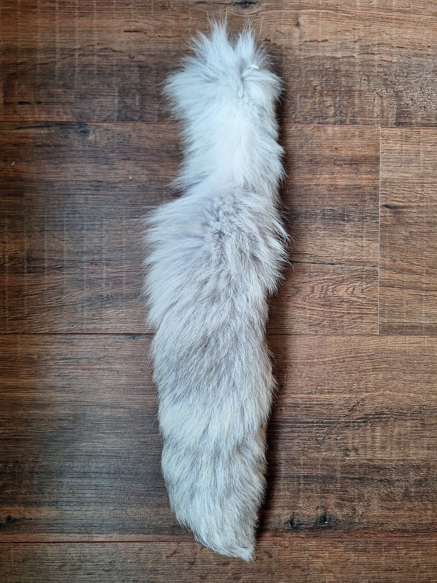 Polar fox tail