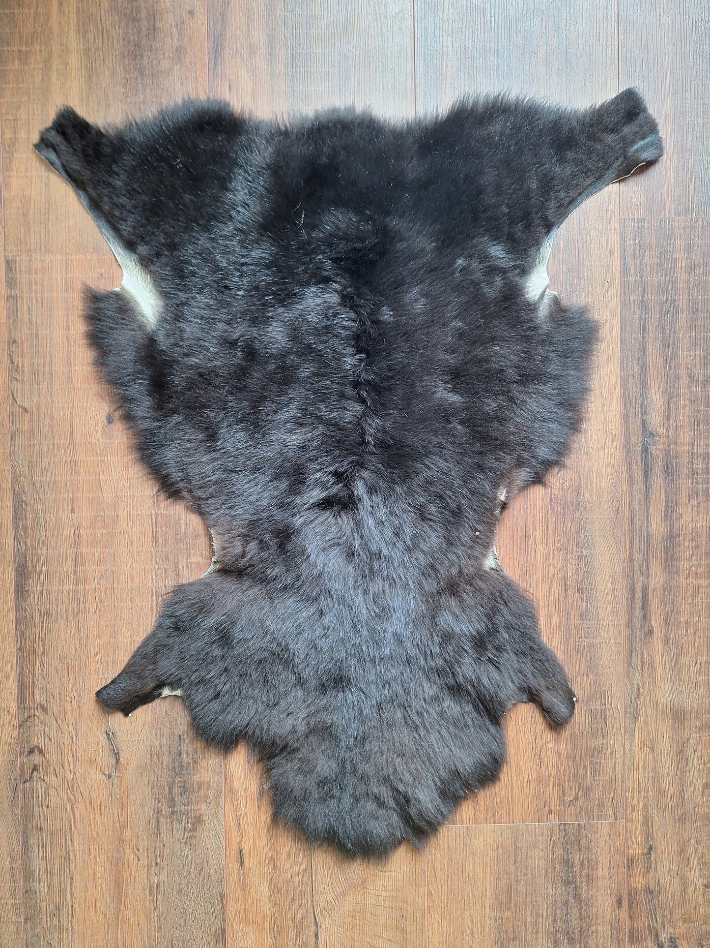 Sheep hide #15