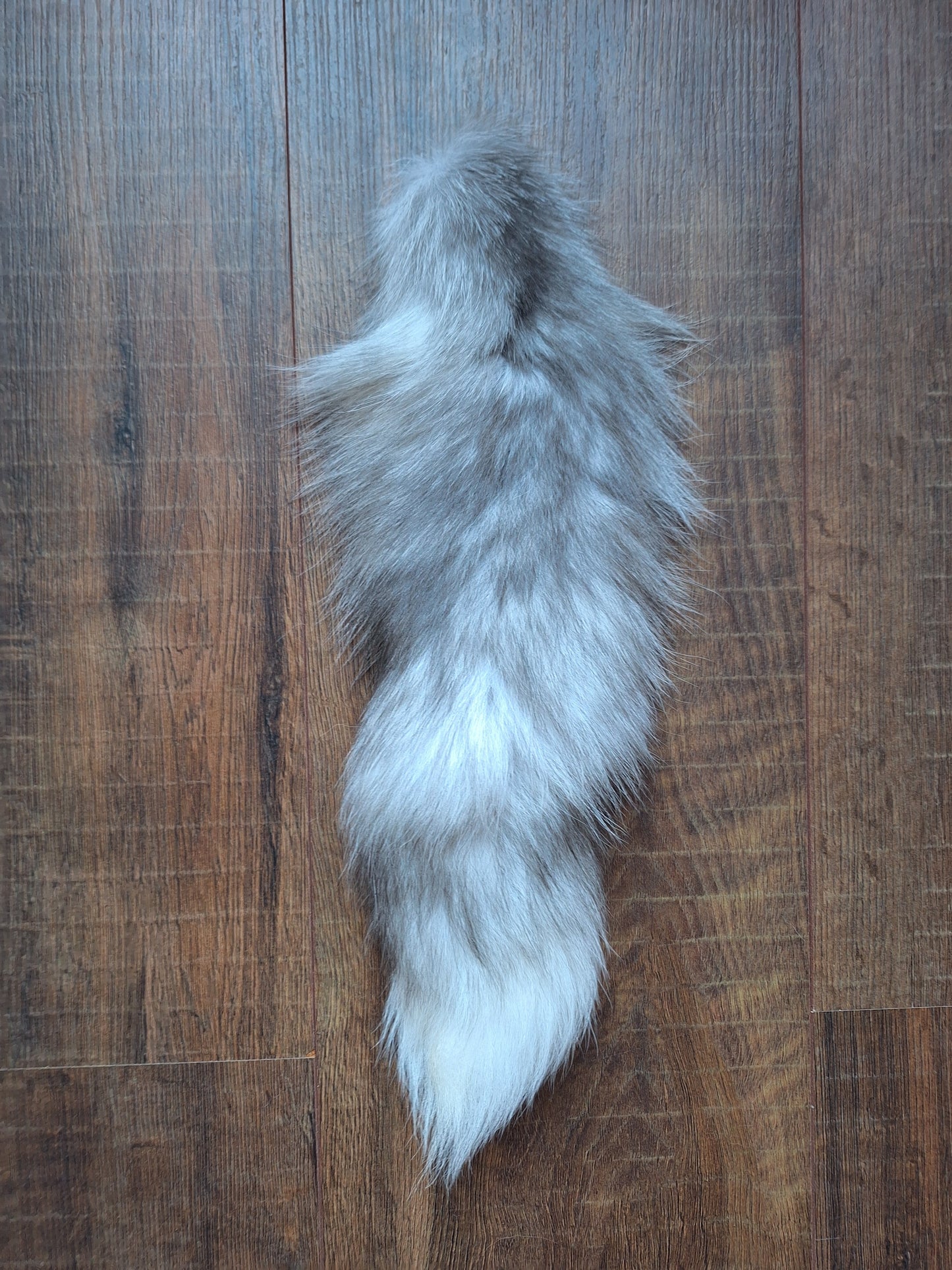 Painted silverfox tails