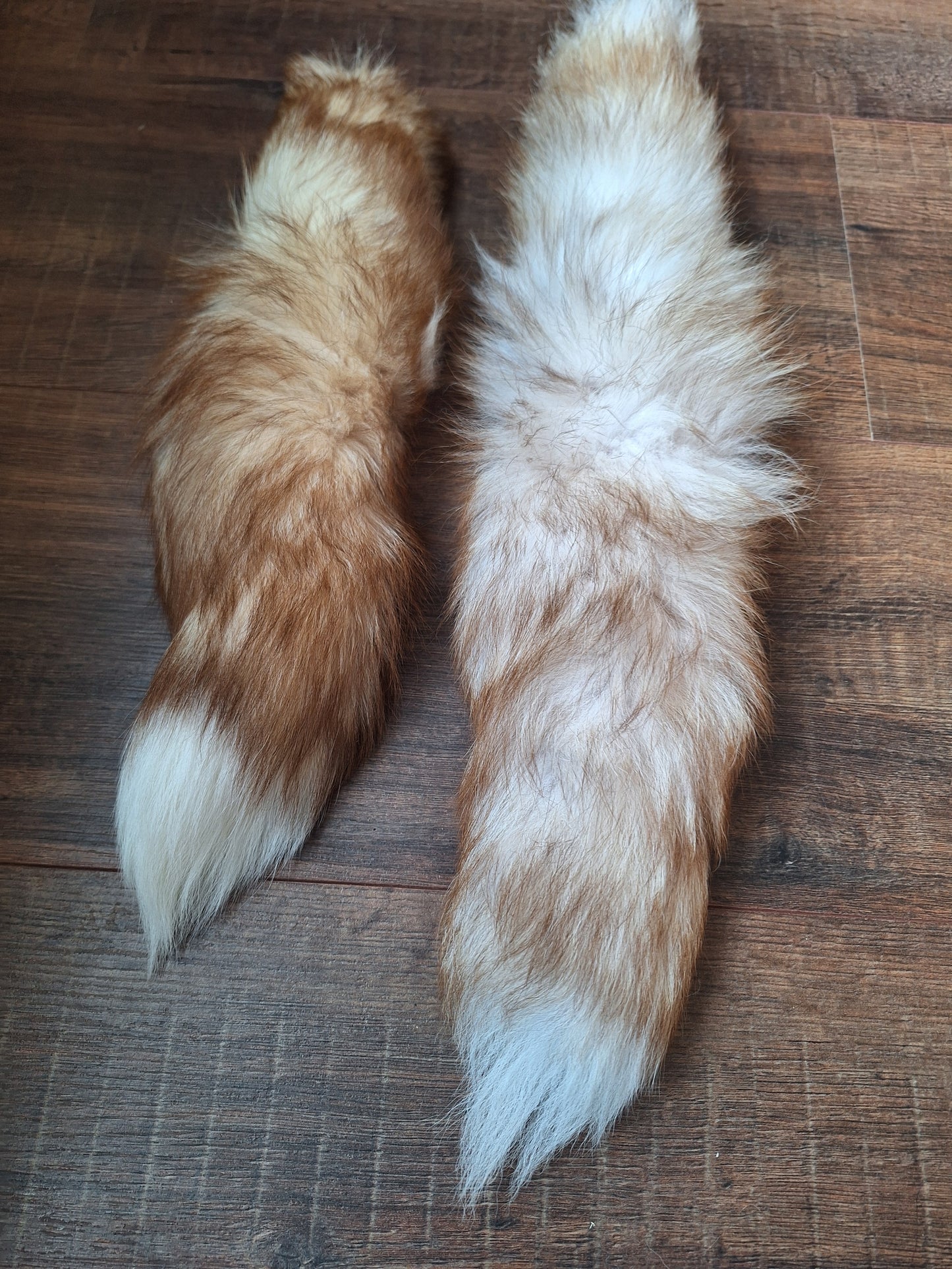Painted silverfox tails