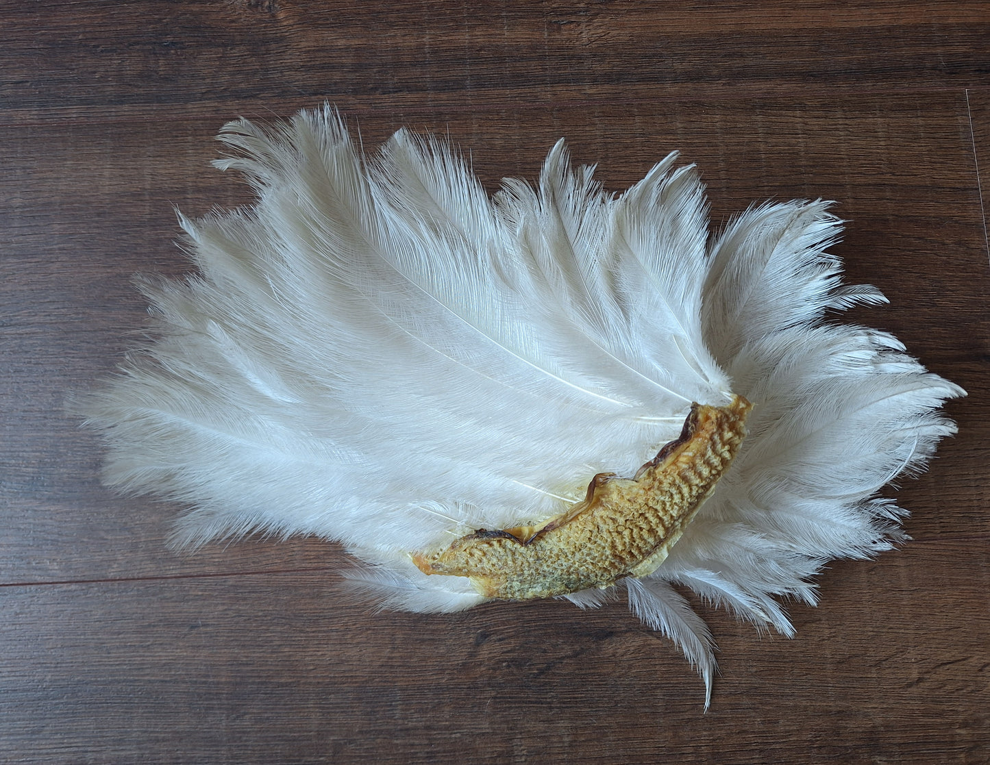 Nandu wing piece, small