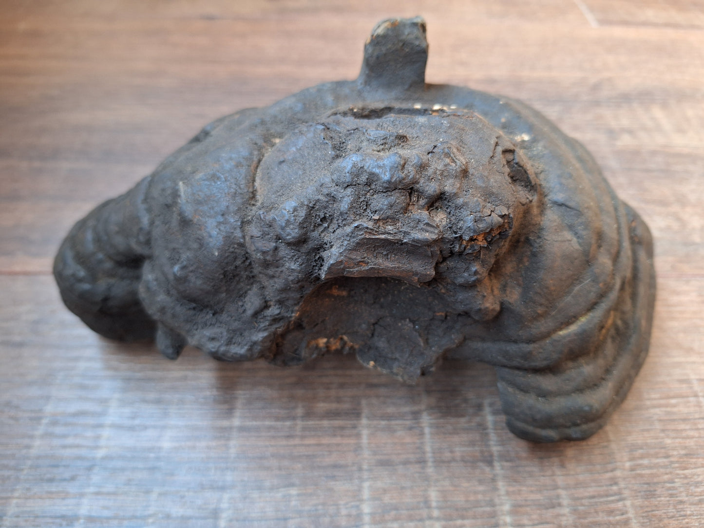 Antique Nepalese mushroom mask #8