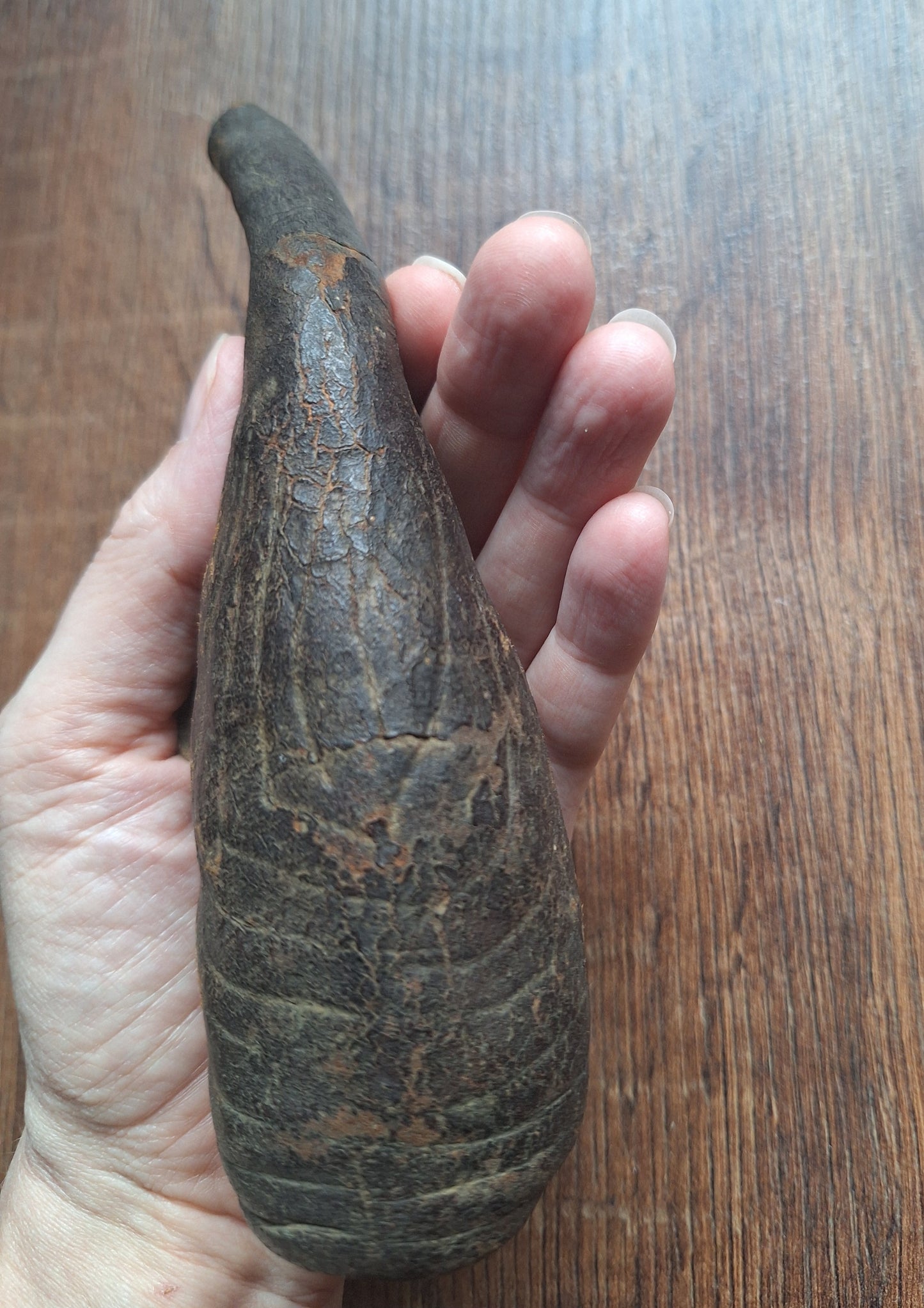19th century Persian 'camel scrotum' powder flask