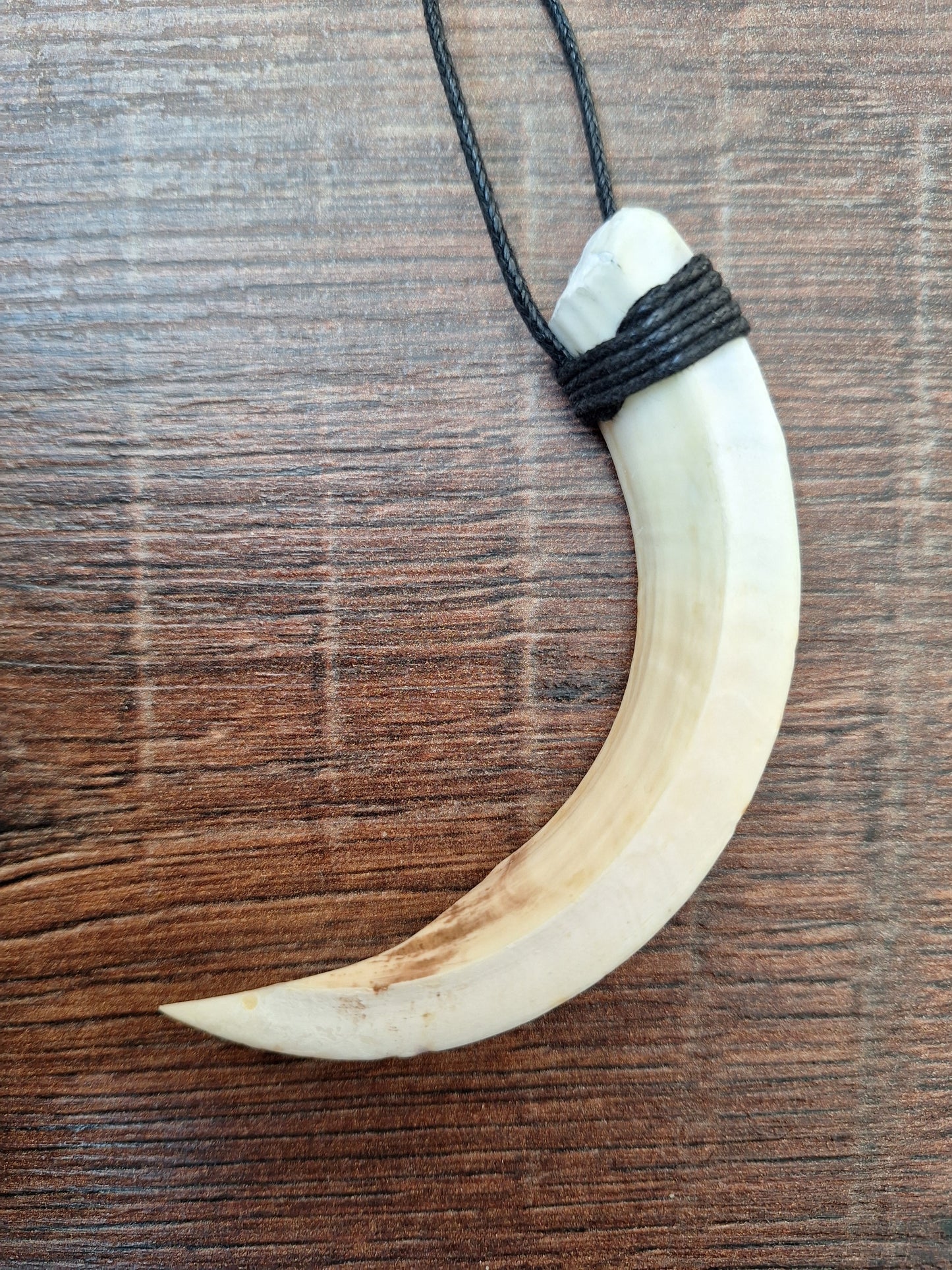 Wild boar tusk amulet necklace