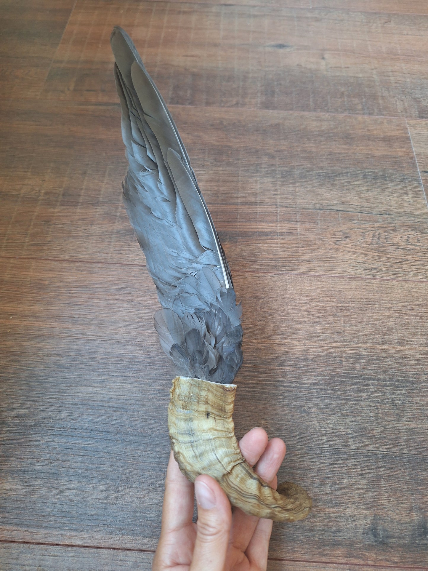 Horn feather fan Crow