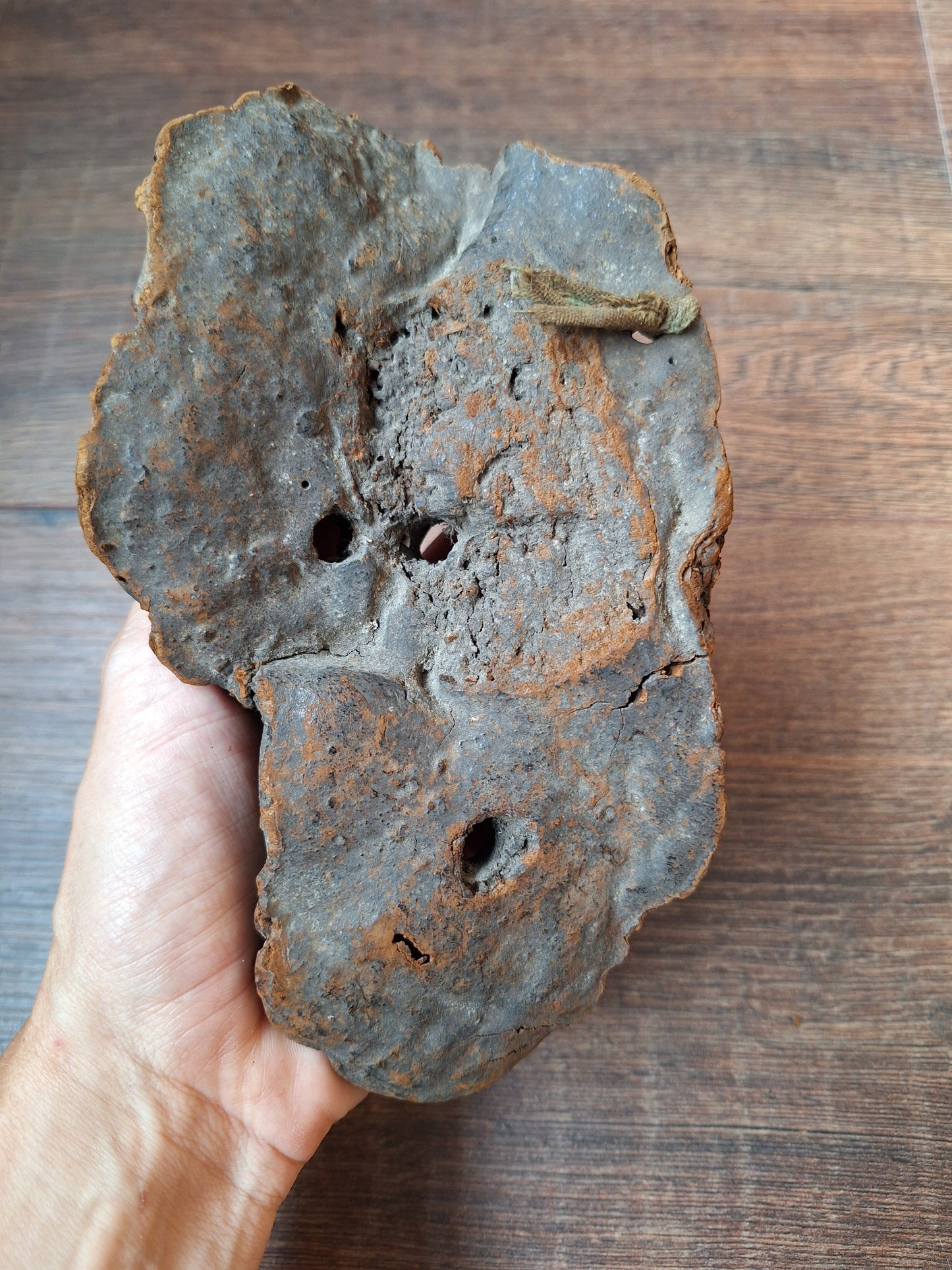 Antique Nepalese mushroom mask #9