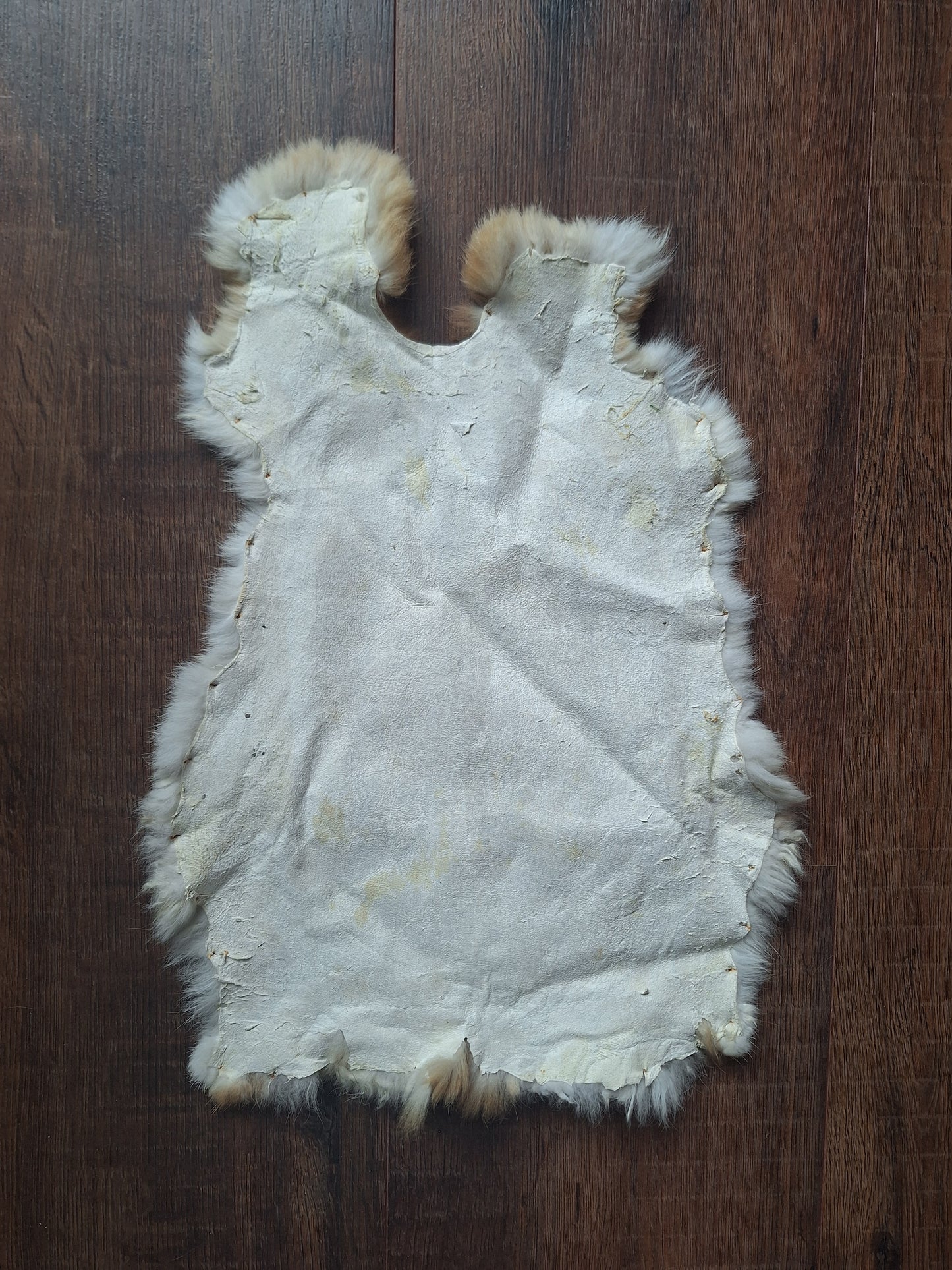 Rabbit hide #13