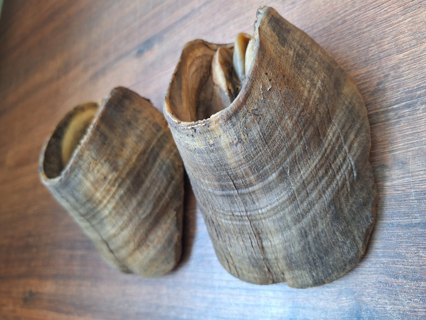 Horse hooves